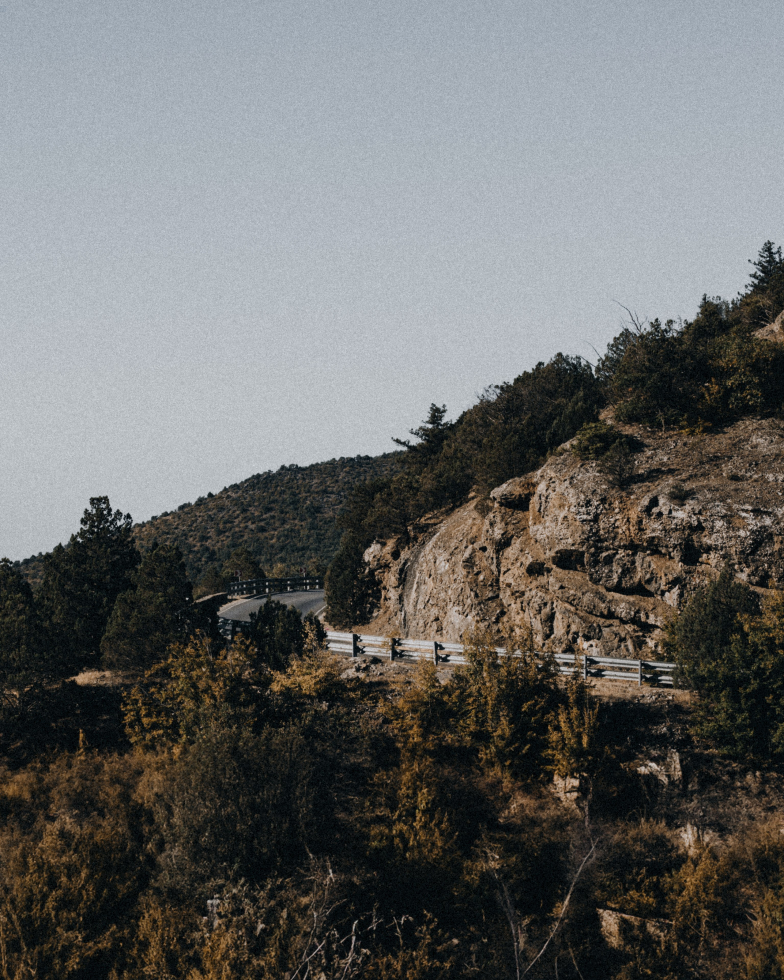 RICORDI PRESET PACK. Концертный фотограф Евгения Самойлова