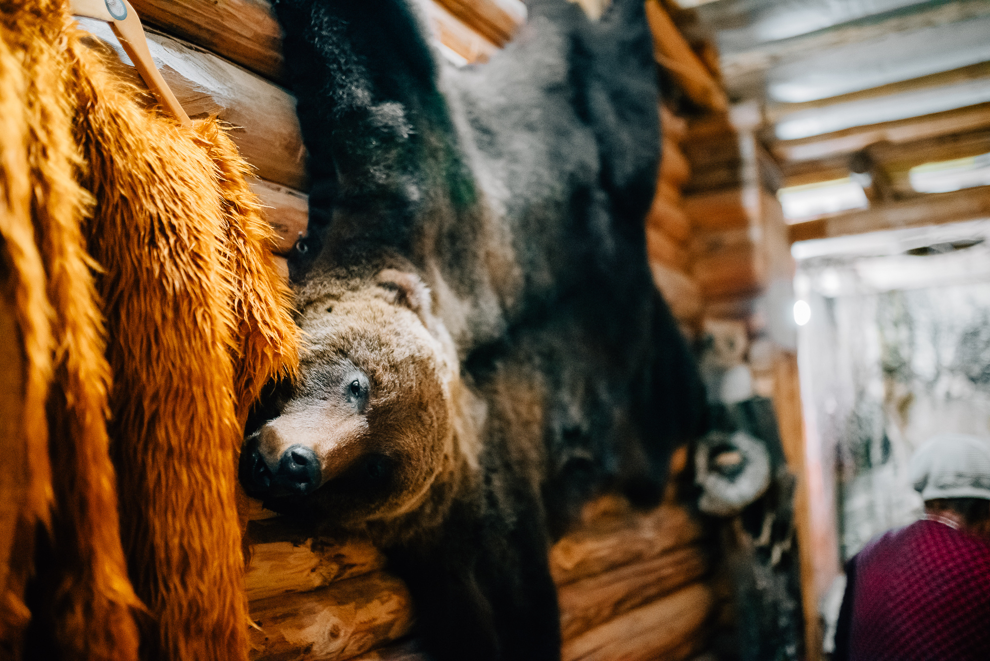 Гостинный двор "Живица" п. Кез Удмуртия. Фотограф Игорь Гуменников Удмуртия Шаркан