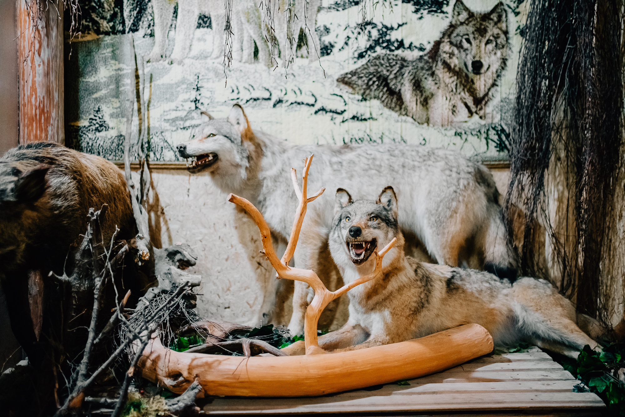 Гостинный двор "Живица" п. Кез Удмуртия. Фотограф Игорь Гуменников Удмуртия Шаркан