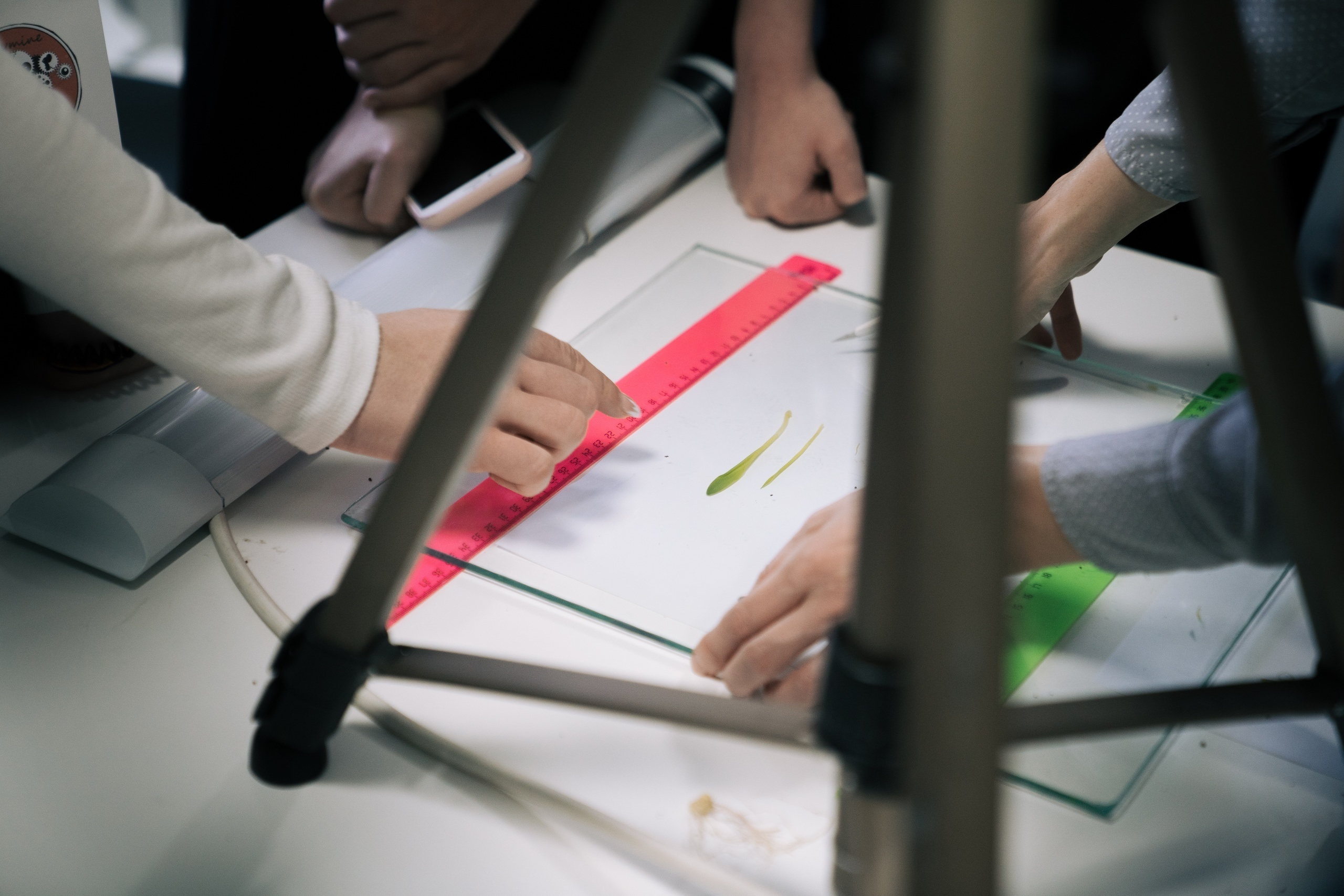 09.10 | Школа системной биологии. Репортажный фотограф Света Асадчая