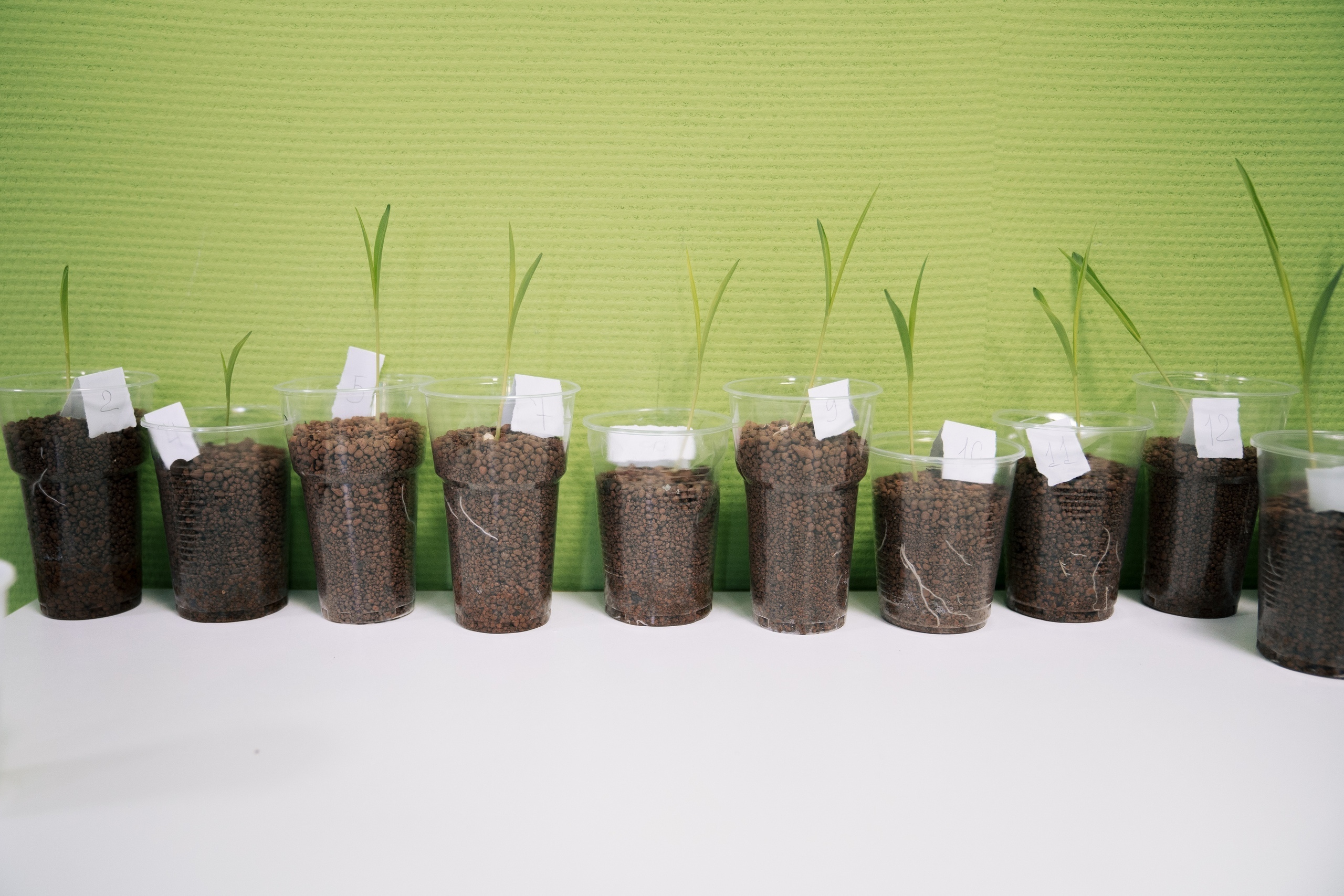 09.10 | Школа системной биологии. Репортажный фотограф Света Асадчая