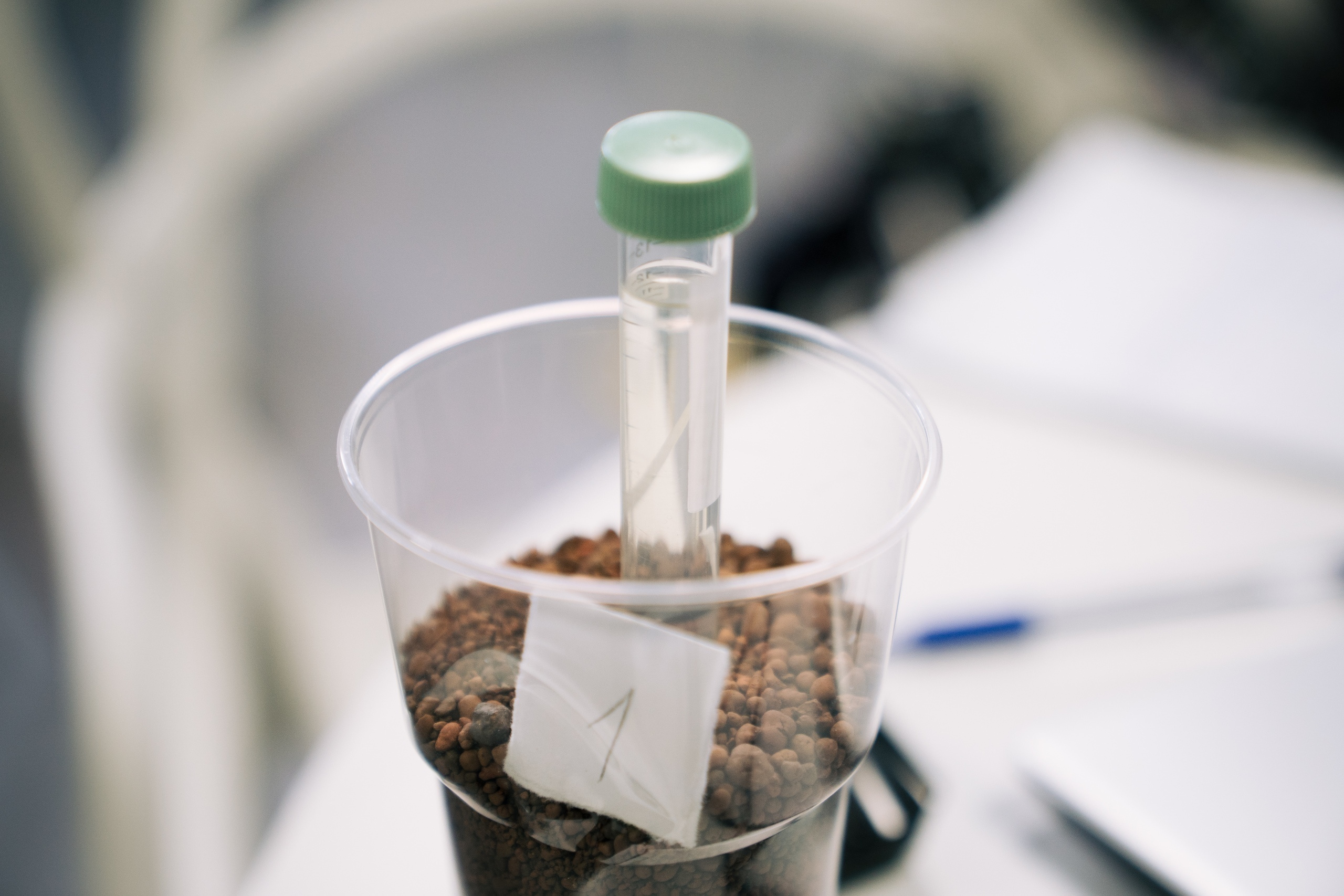 09.10 | Школа системной биологии. Репортажный фотограф Света Асадчая