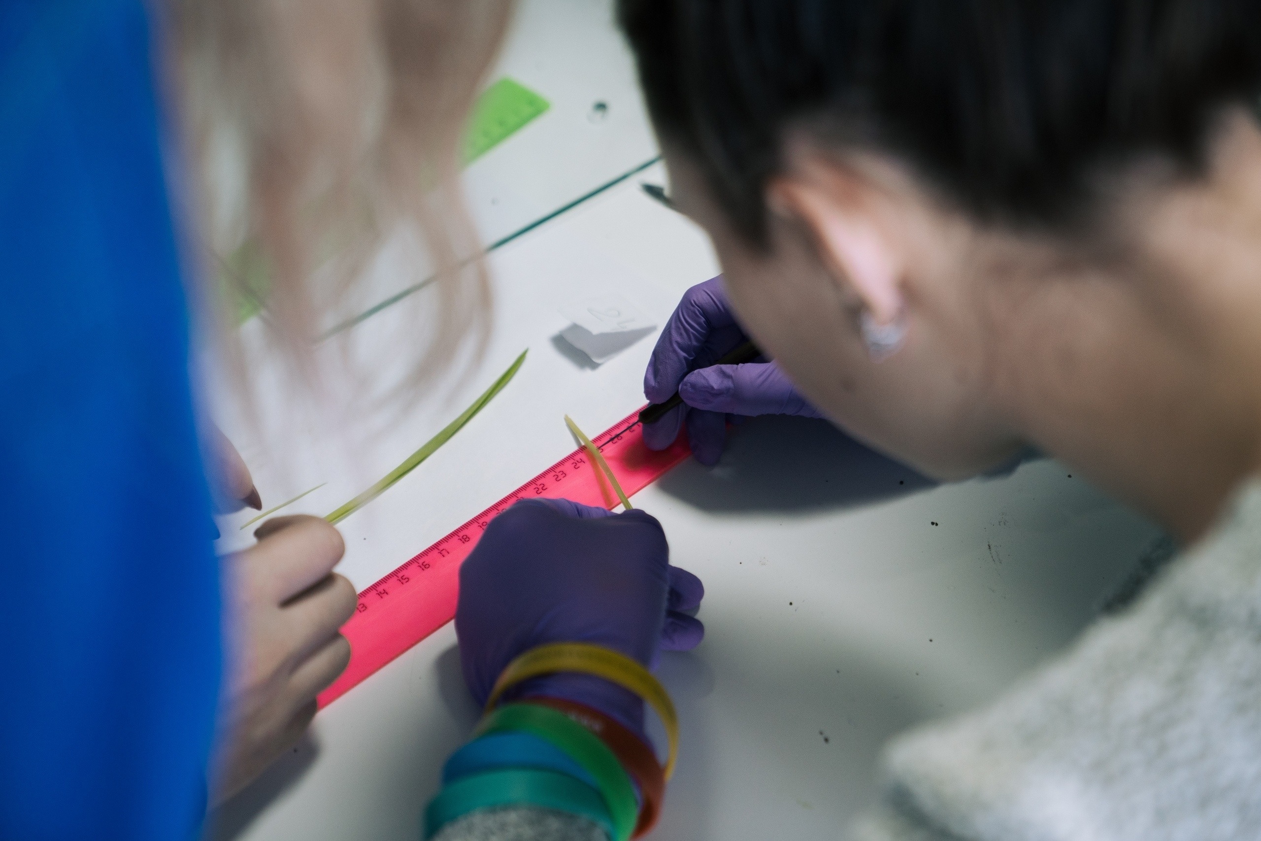 09.10 | Школа системной биологии. Репортажный фотограф Света Асадчая