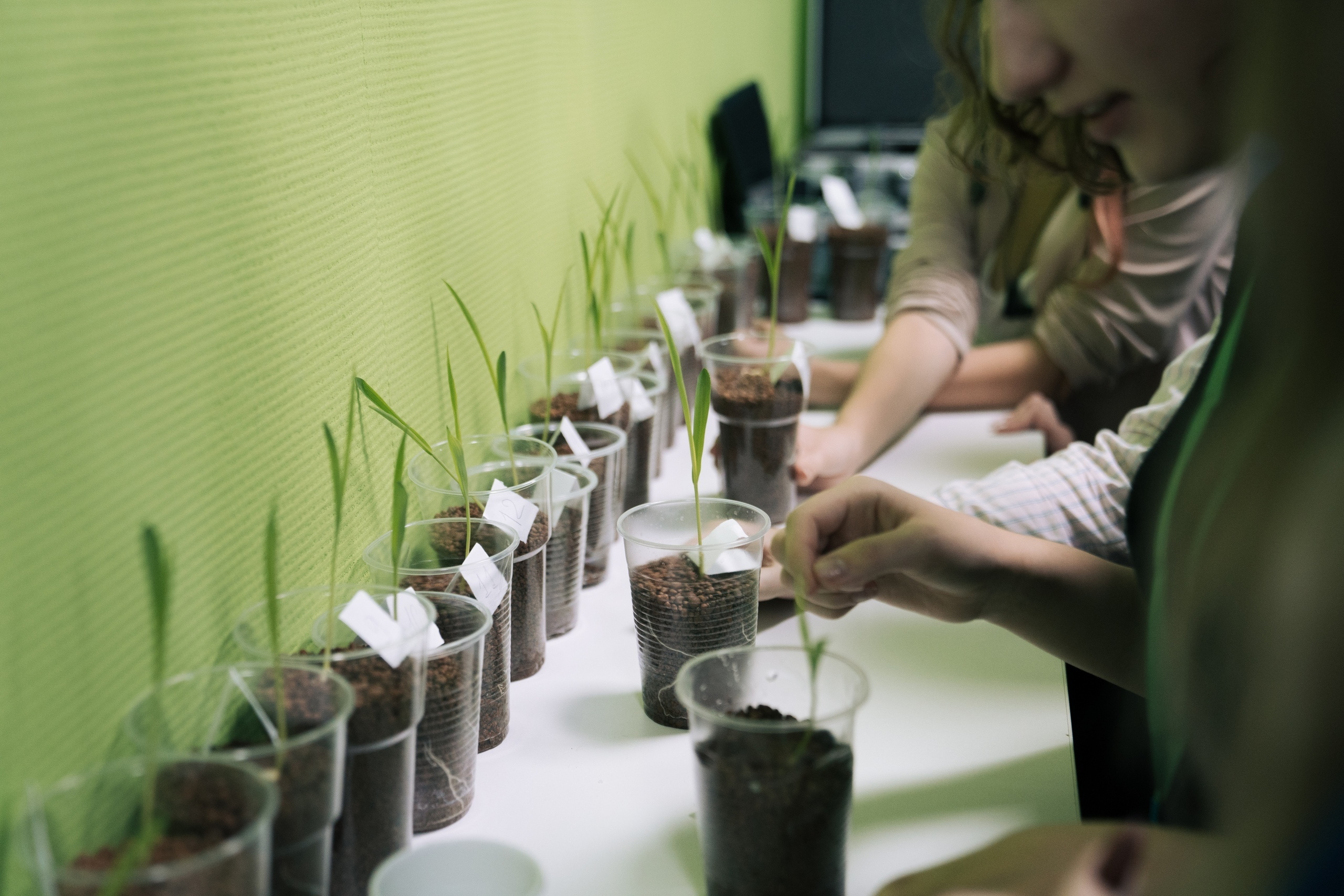 09.10 | Школа системной биологии. Репортажный фотограф Света Асадчая