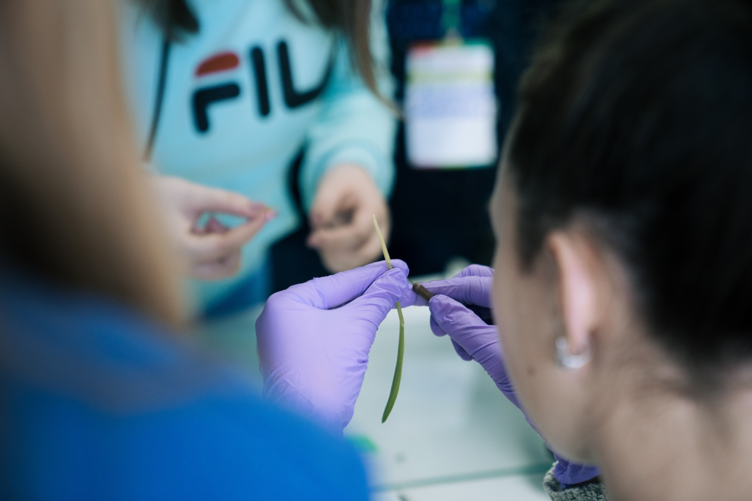 09.10 | Школа системной биологии. Репортажный фотограф Света Асадчая