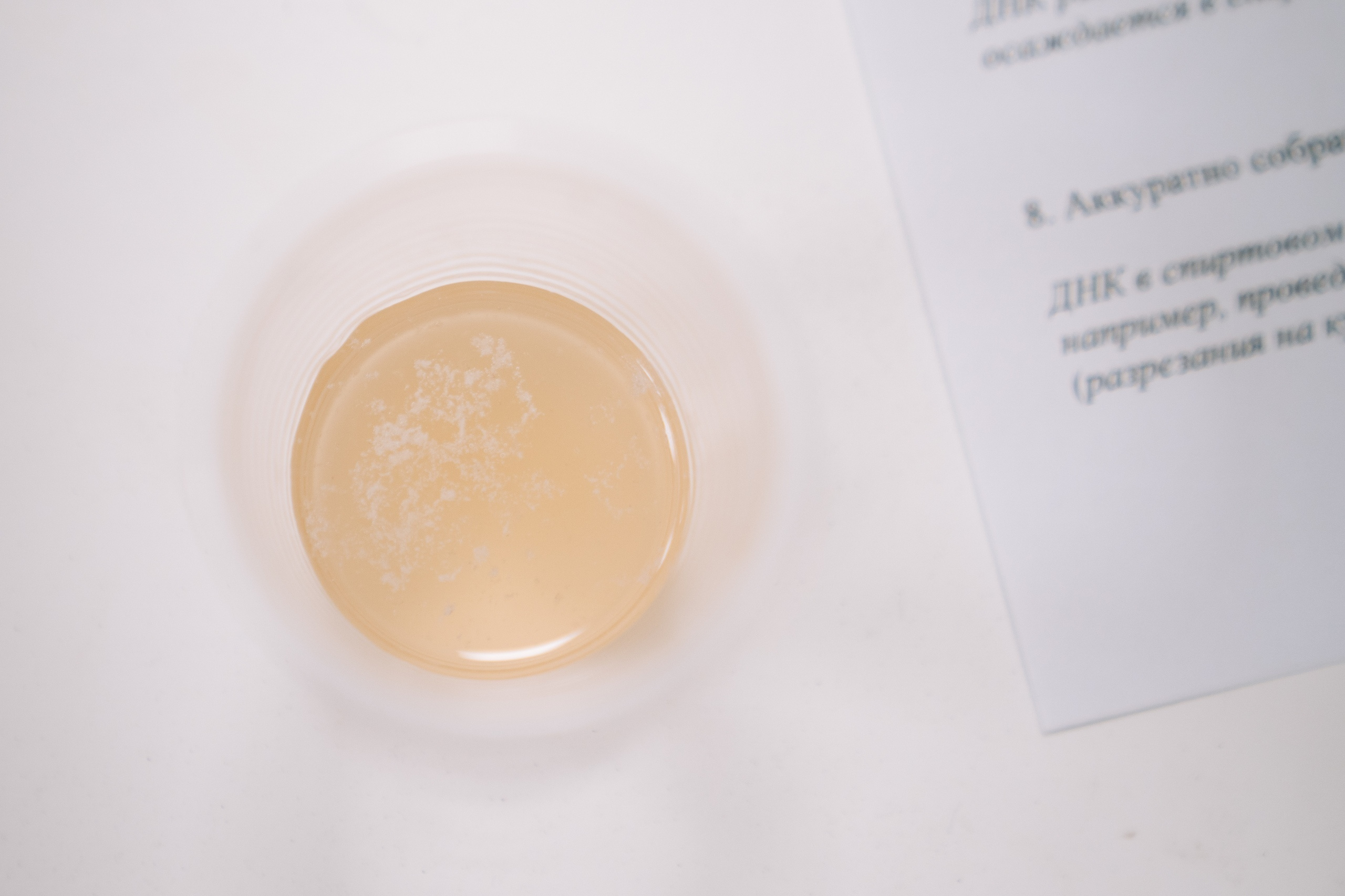 09.10 | Школа системной биологии. Репортажный фотограф Света Асадчая