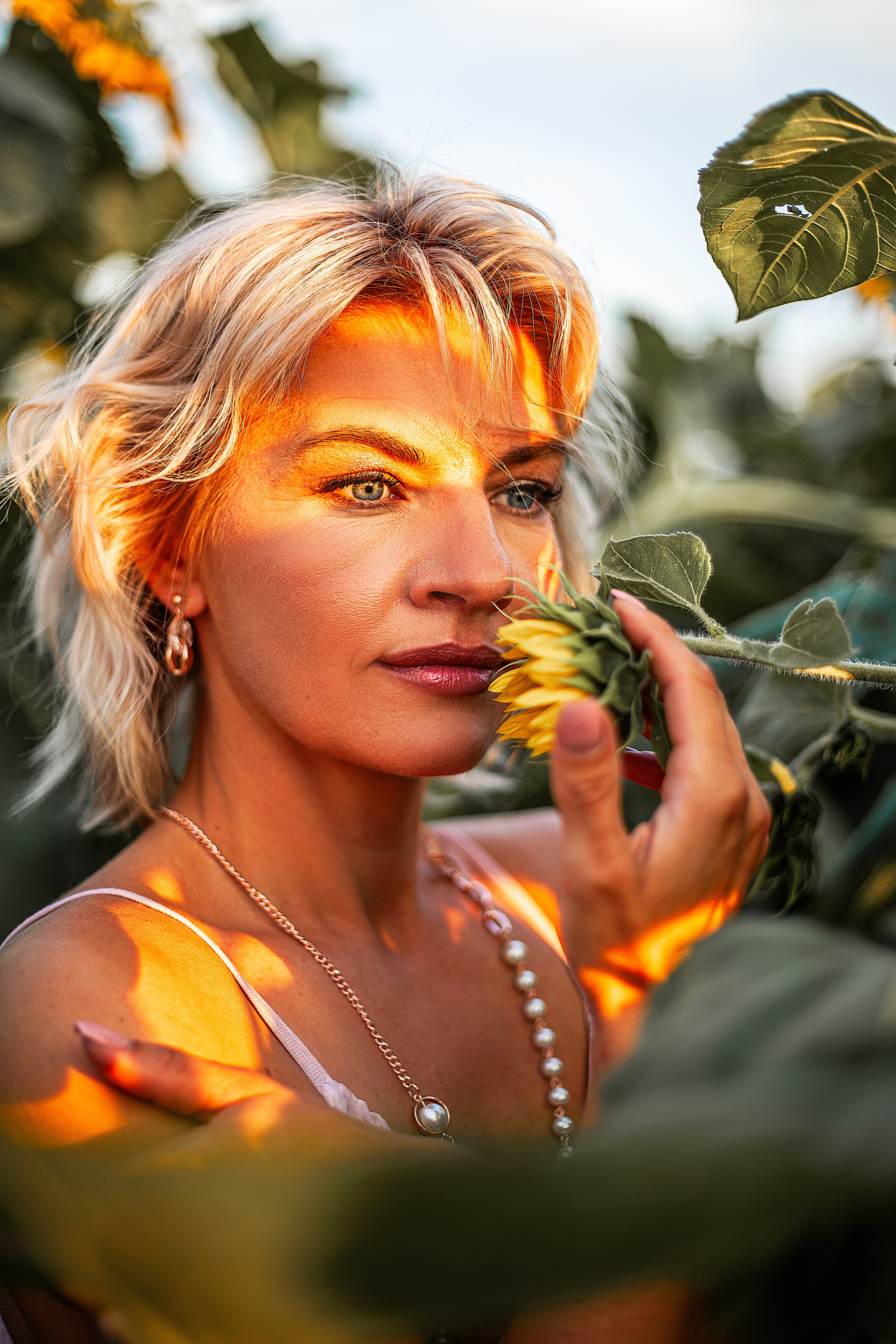 Подсолнухи!