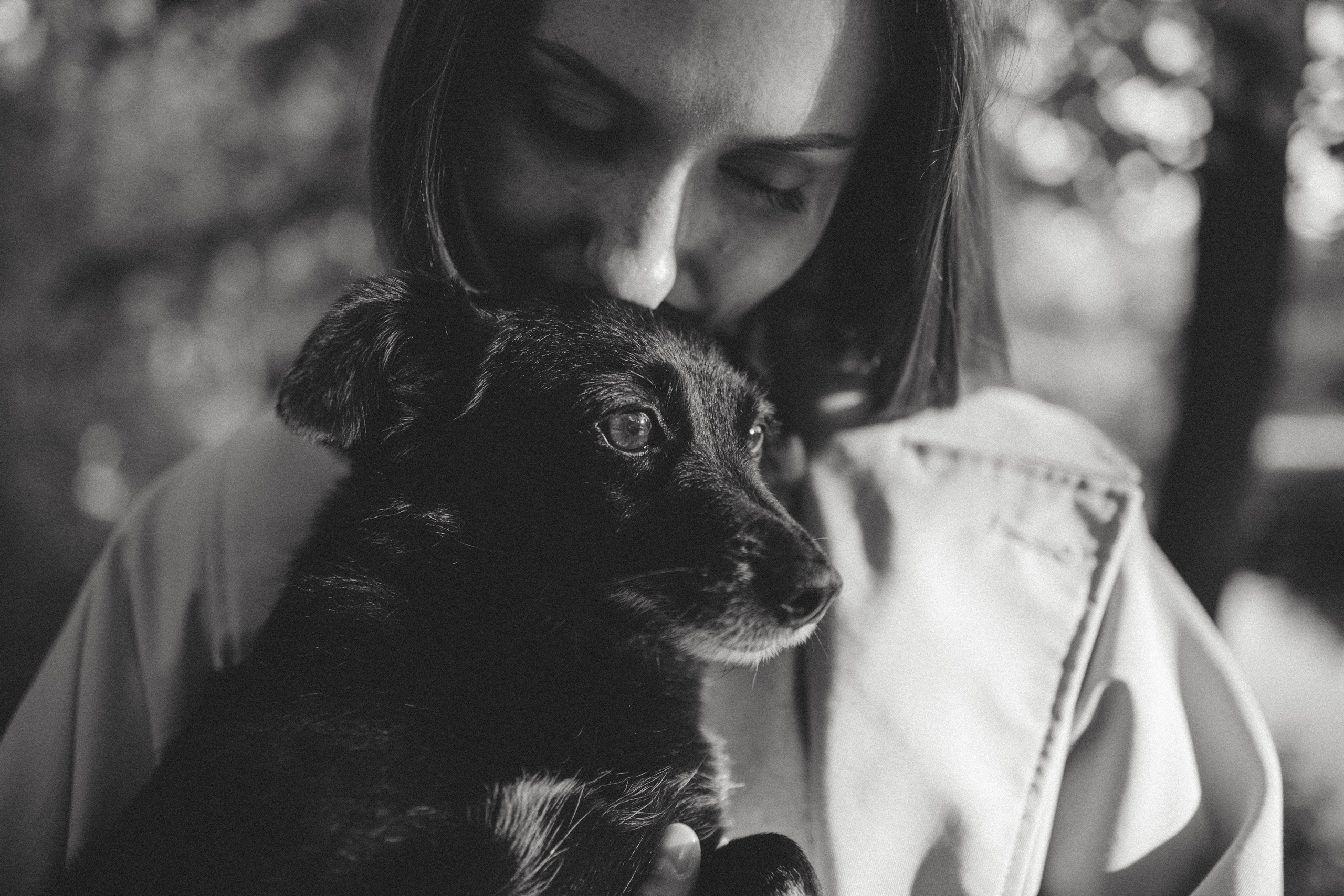 Скорость счастья — 15 км/ч. Фотограф — Анималист | Санкт-Петербург