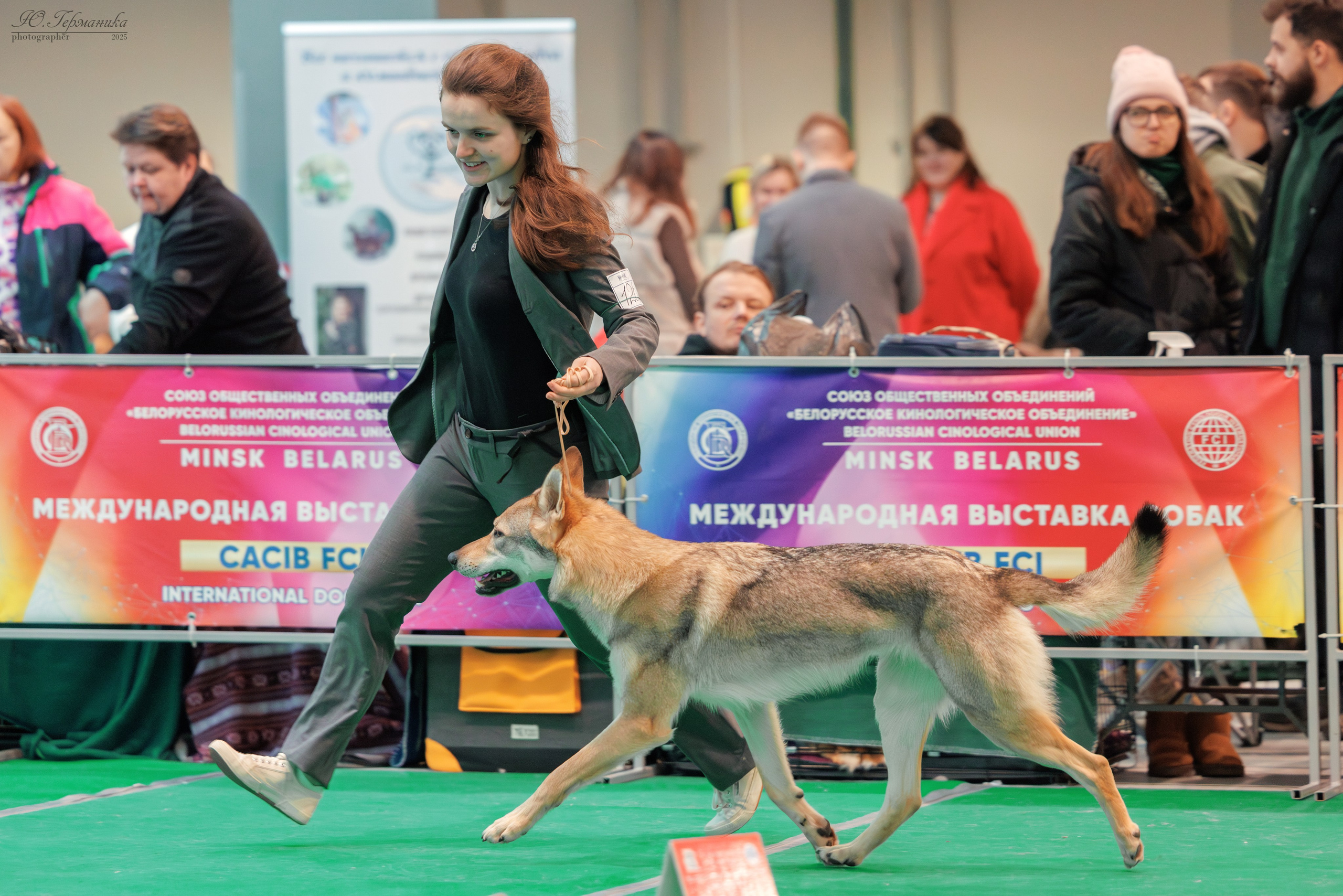 Минск 1-2.03.2025. Фотограф-анималист Юлия Германика
