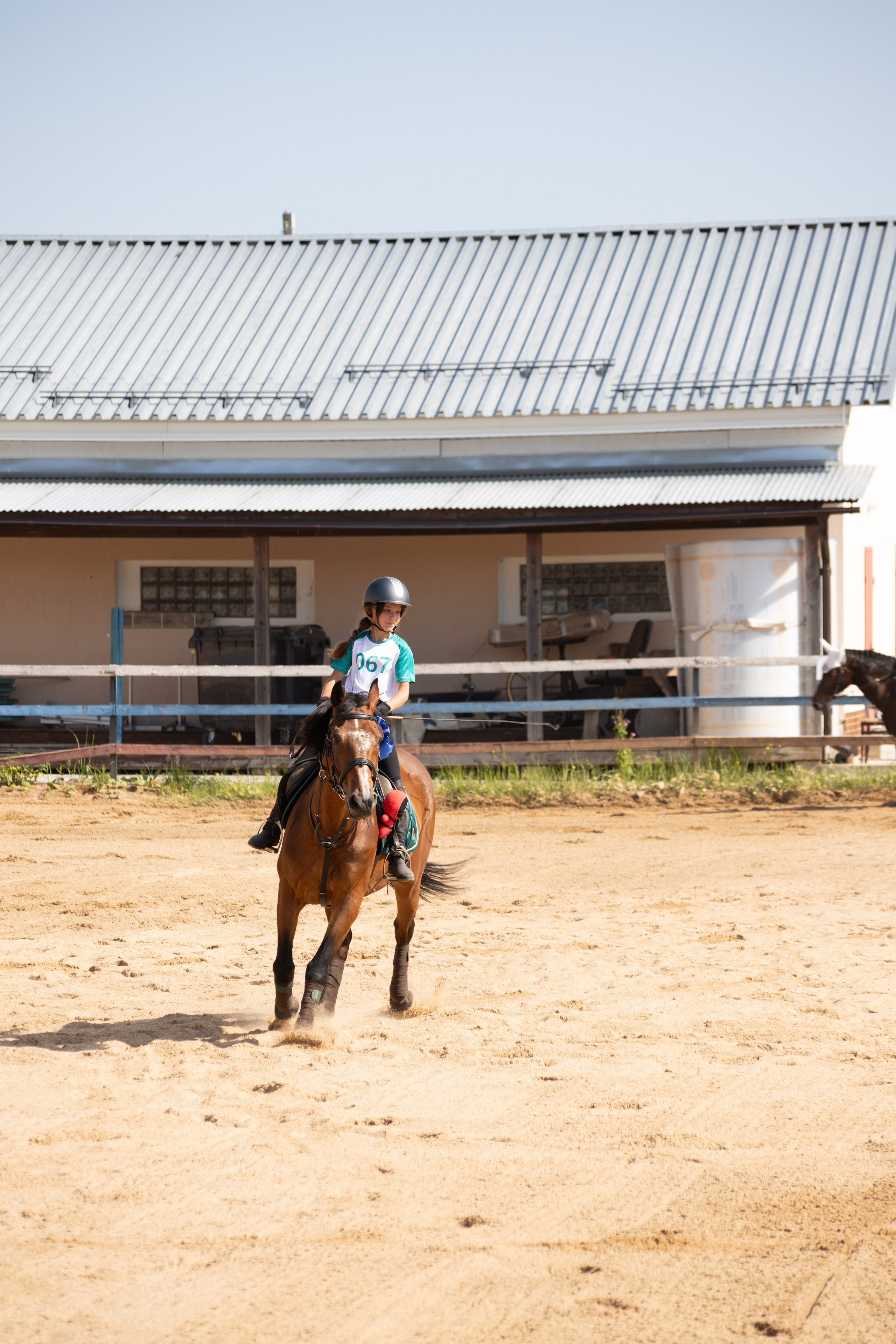 Конюшня. Фотограф в Москве и Истре