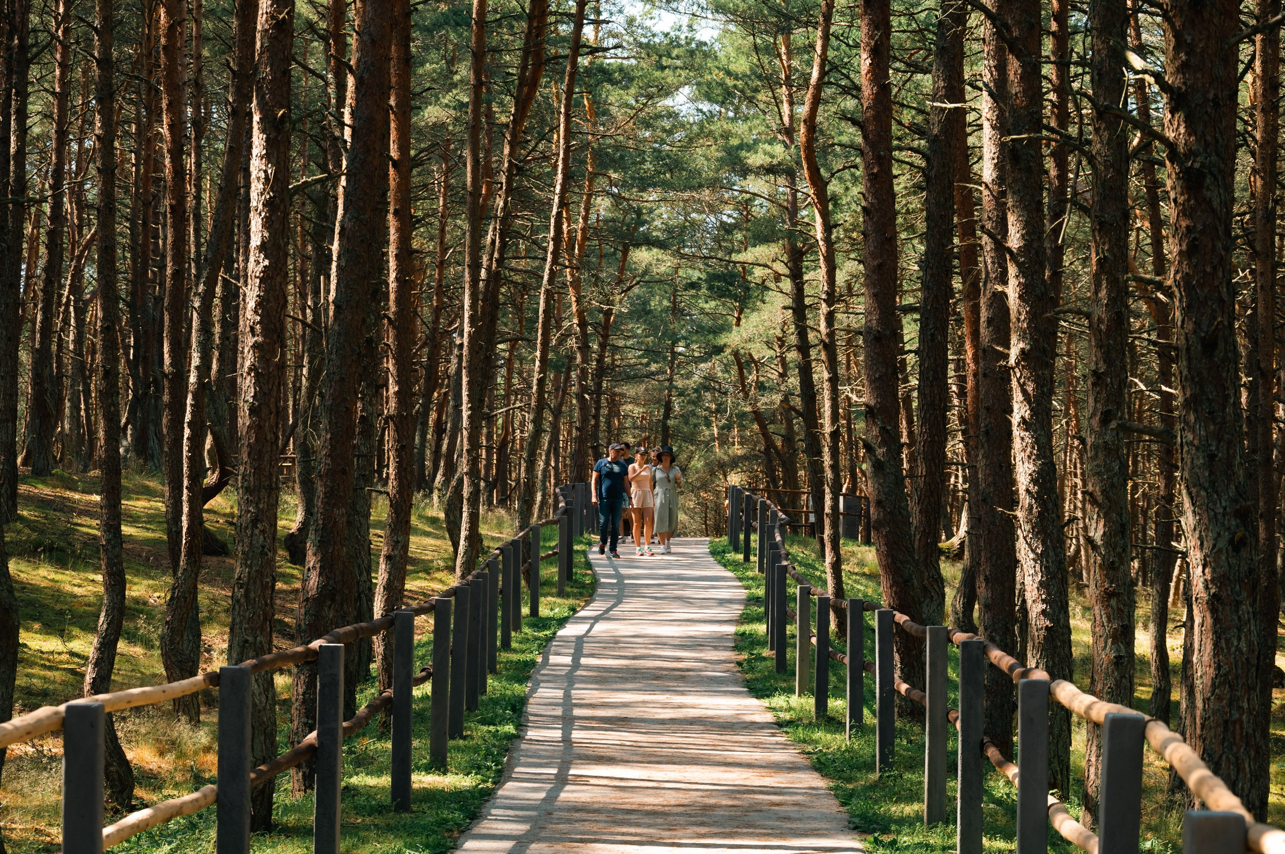 Куршская коса. Фотограф и видеооператор в Туле | Даниил Рыбак