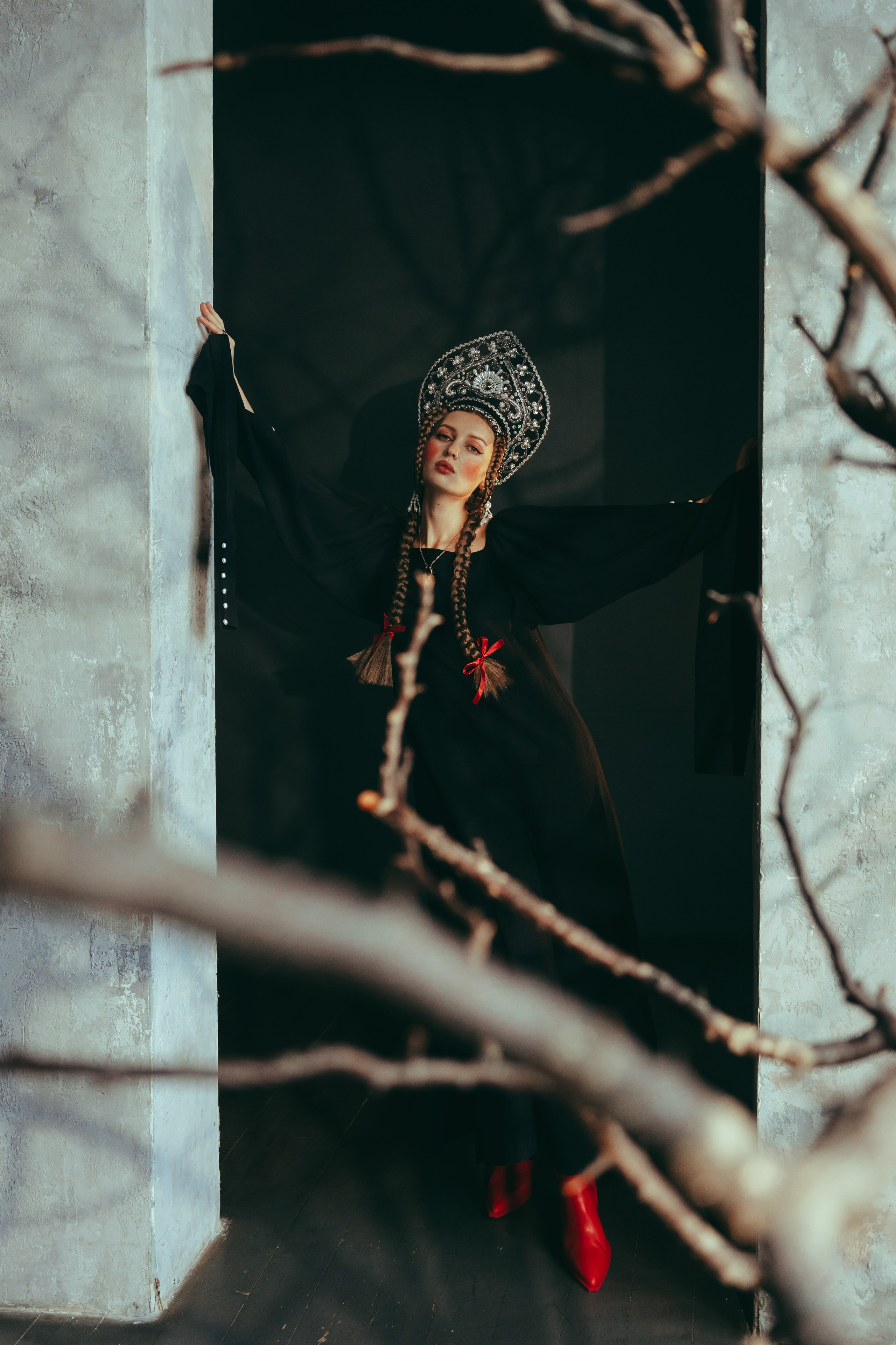 Лебедь. Фотограф Москва