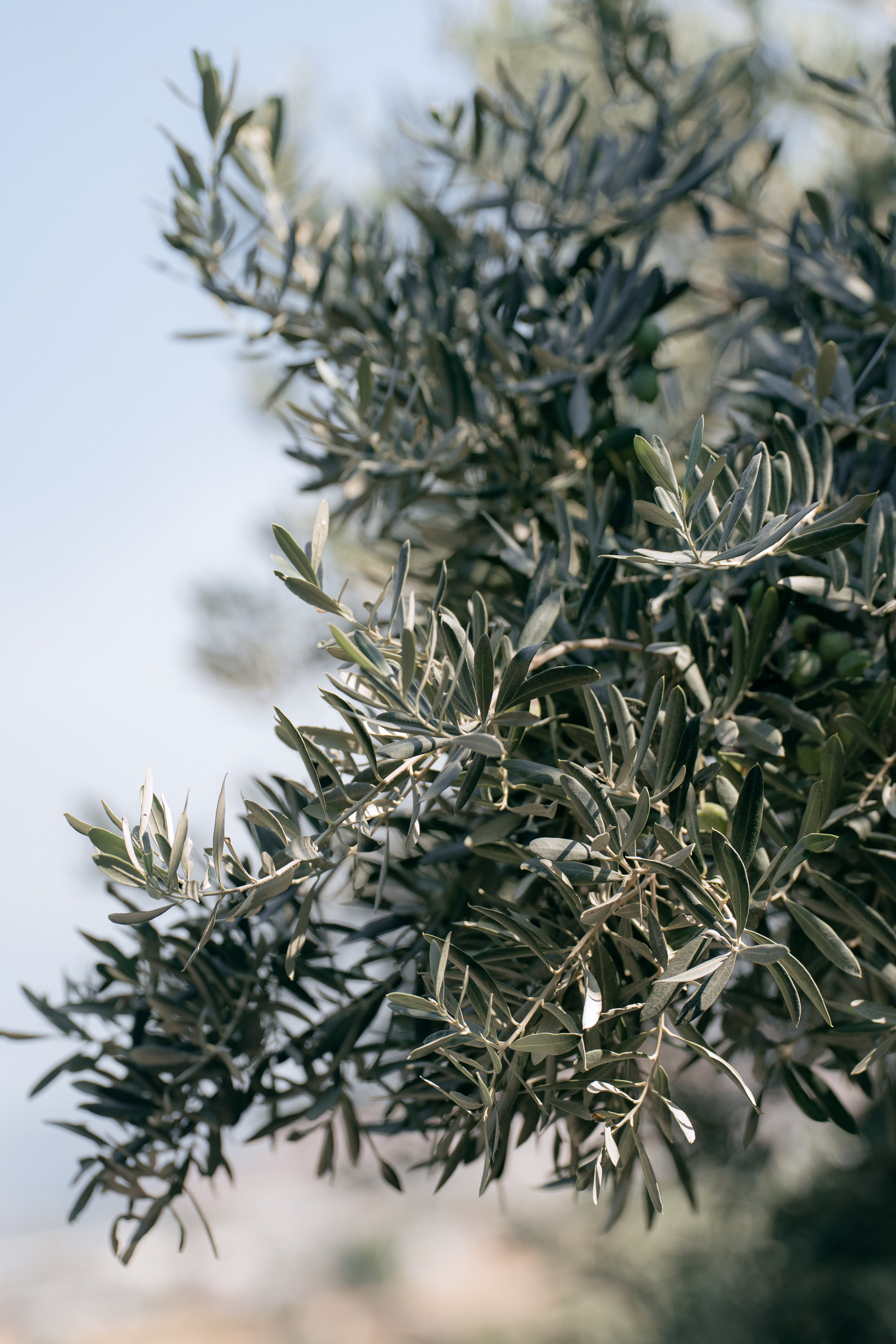 Sunshine in Izmir. Wedding & Documentary Photographer based in Nuremberg — available across Europe & Turkey | Vitalii Nasonov