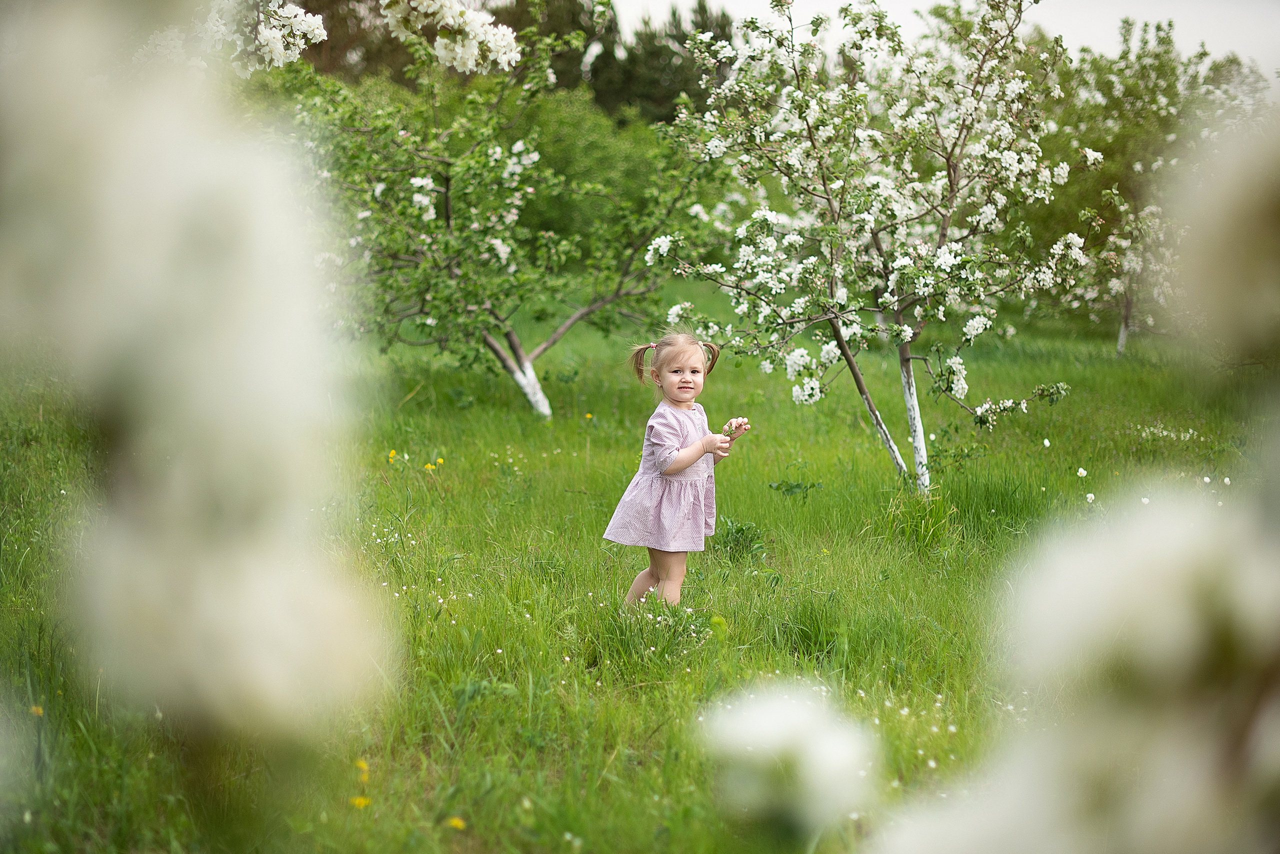 Фотосессии в цветении. Детский и семейный фотограф в Красноярске. Фотосессии новорожденных малышей до 1 месяца