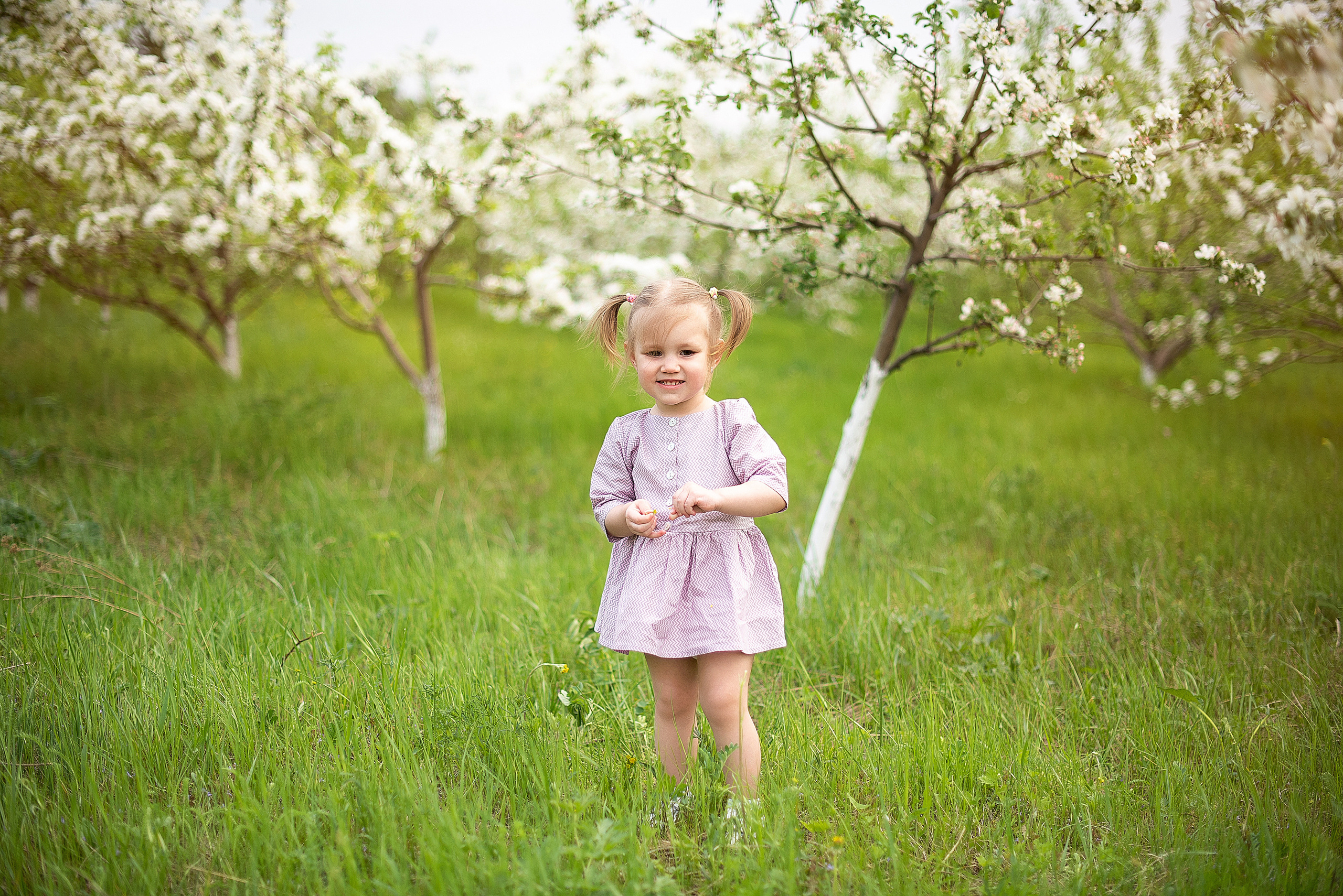 Фотосессии в цветении. Детский и семейный фотограф в Красноярске. Фотосессии новорожденных малышей до 1 месяца