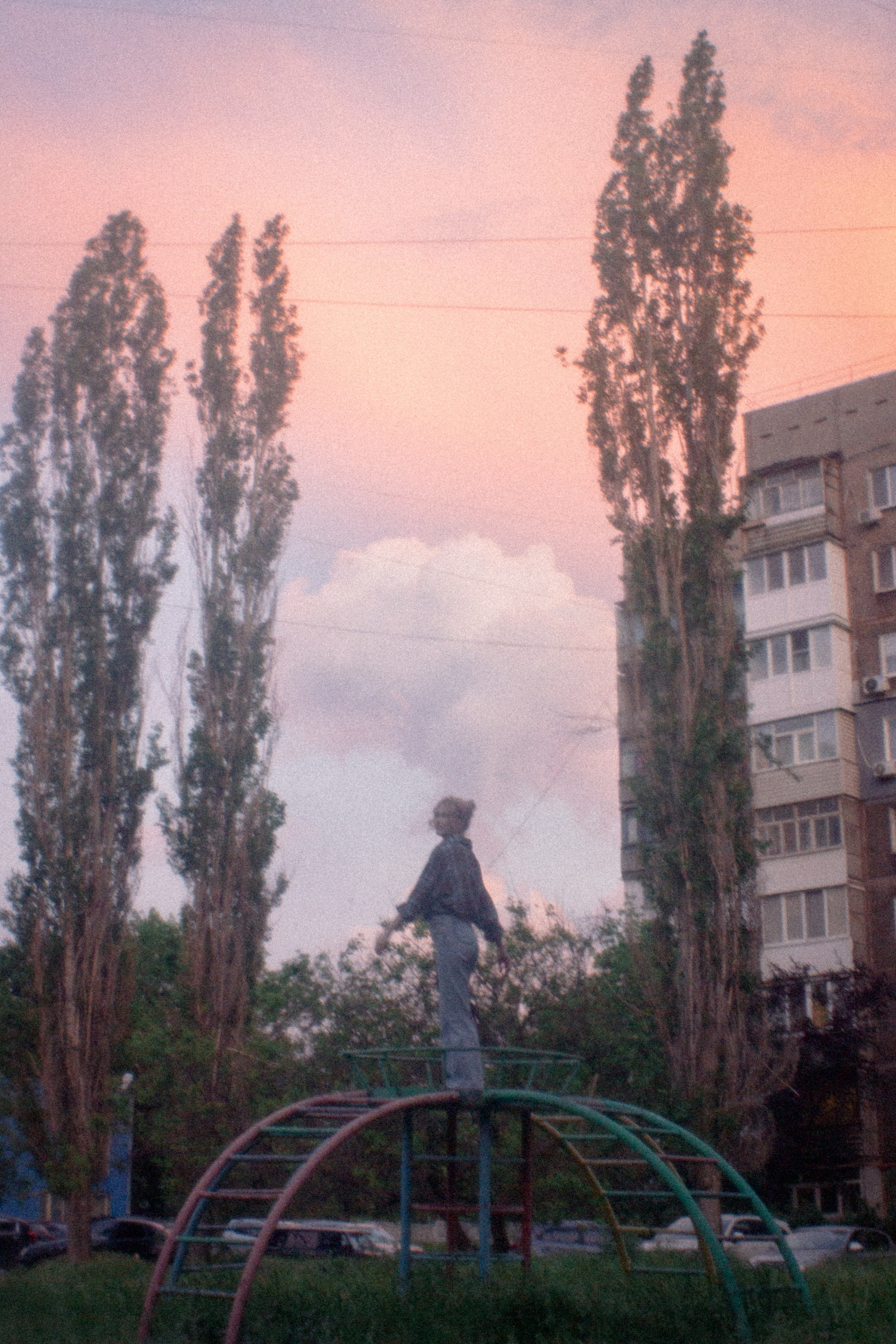Золотой июльский вечер. • Фотограф Александра Светозар Алчевск •