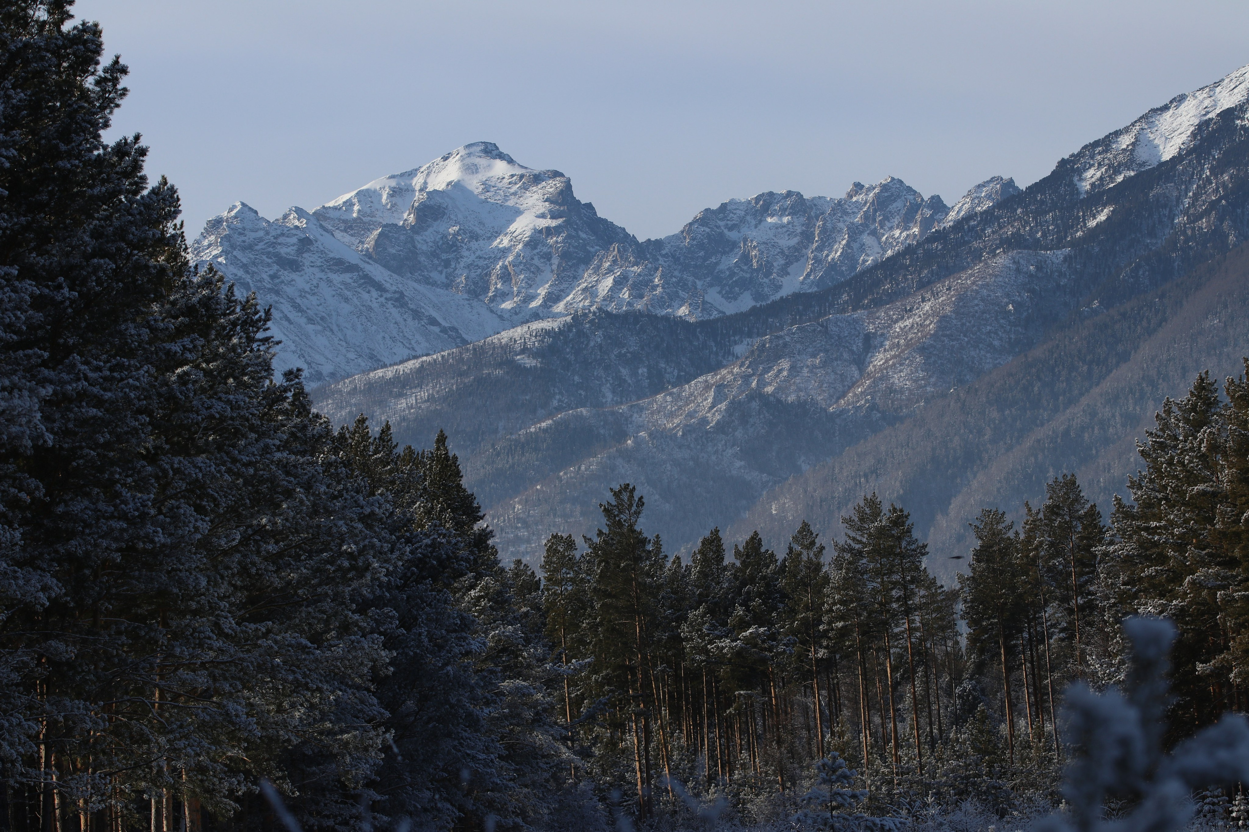 Аршан. Январь 2024. Путешественник-фотограф из Санкт-Петербурга Татьяна Свистулина