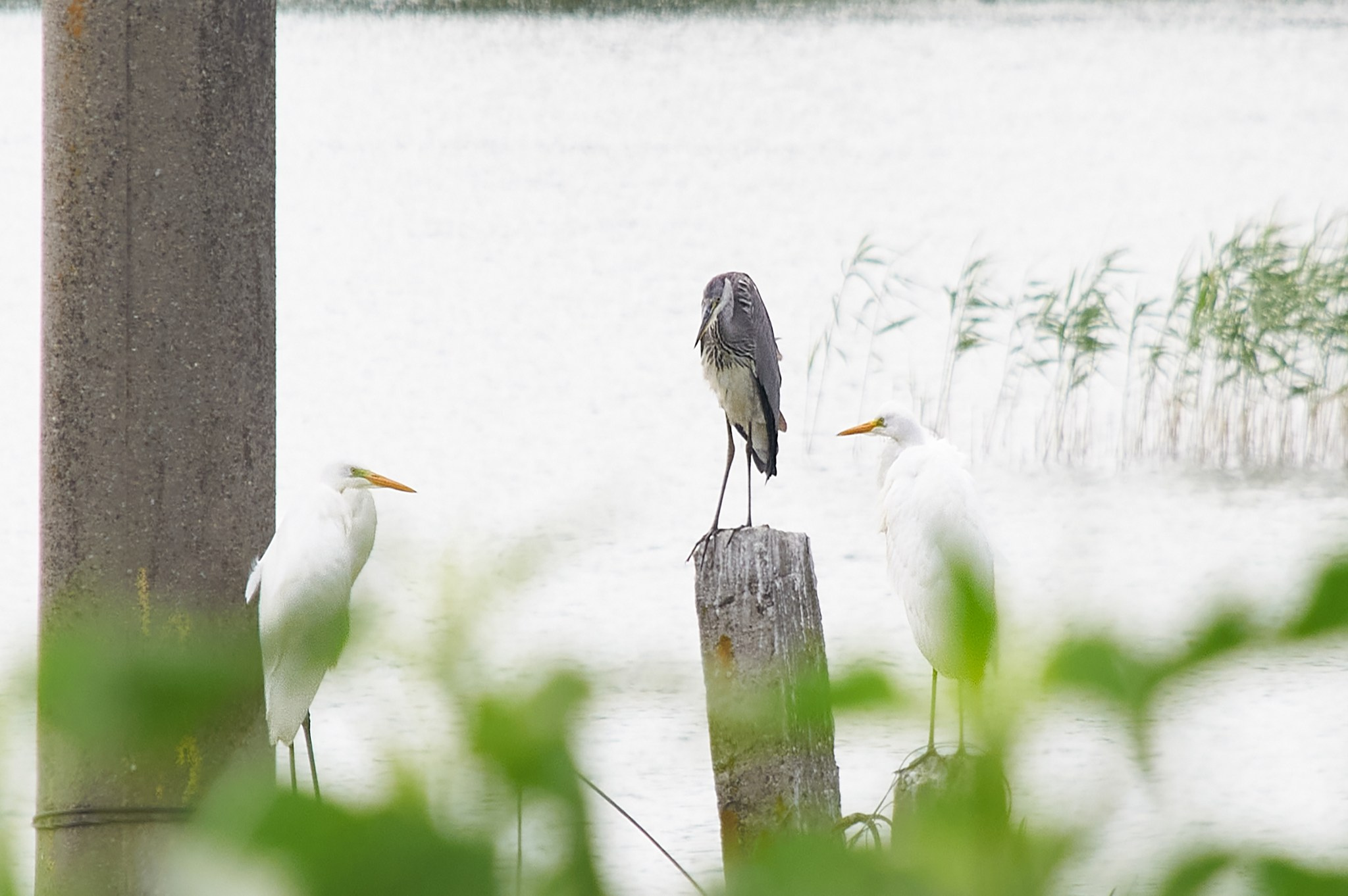 Заповедные уголки Земли: обитатели дикой природы. Координаты красоты — география в фокусе