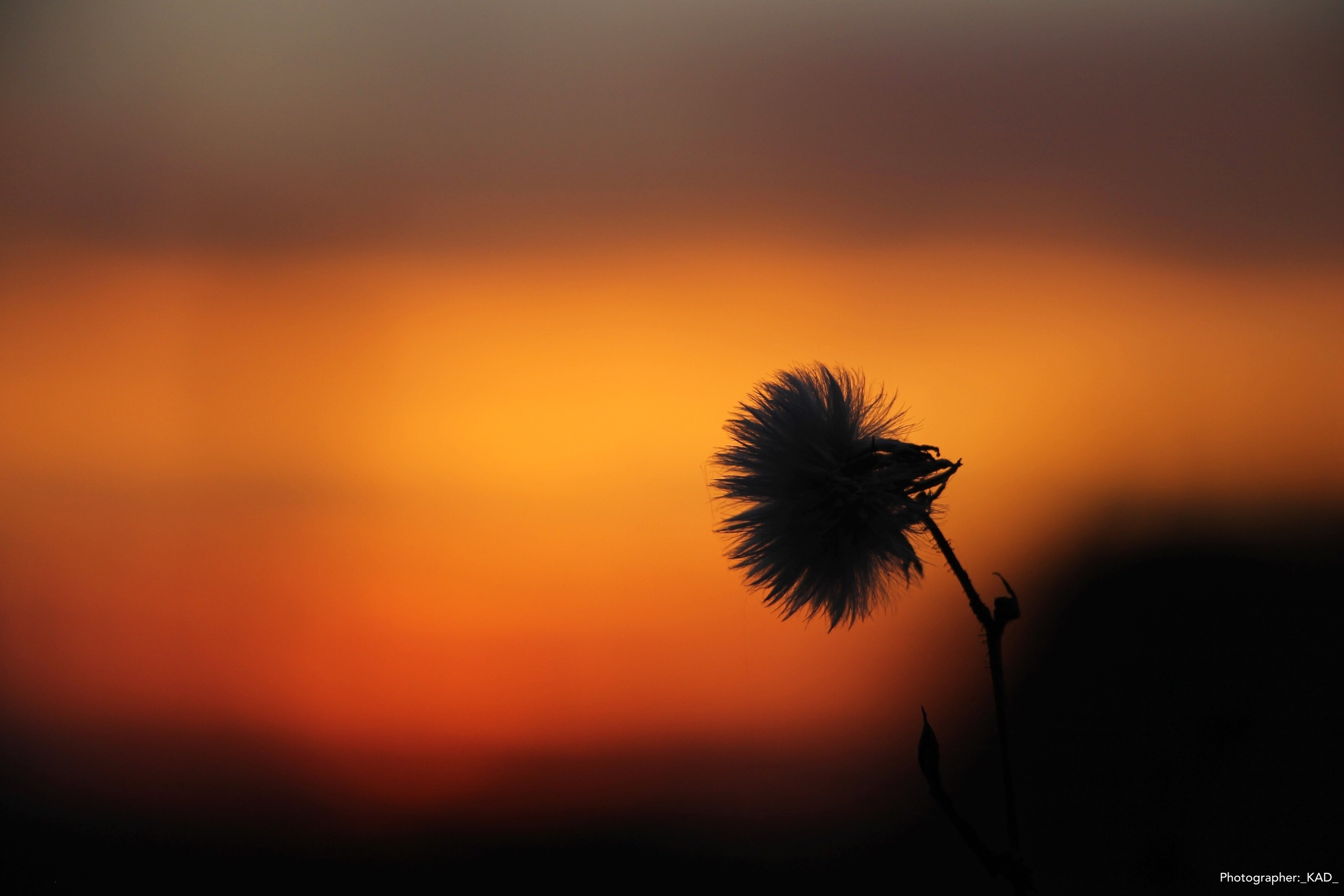 Пейзажи и природа. Photographer K.A.D