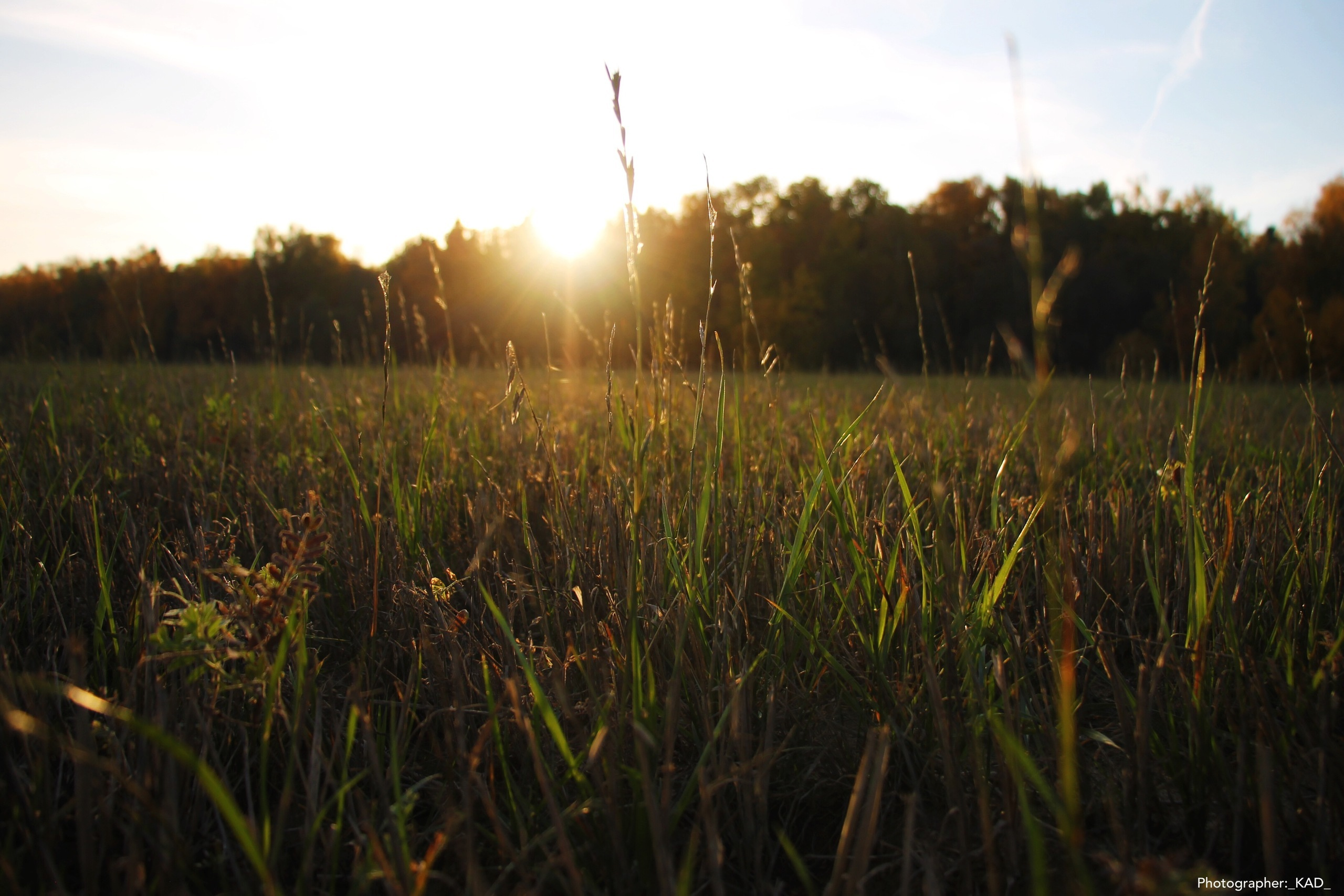 Пейзажи и природа. Photographer K.A.D