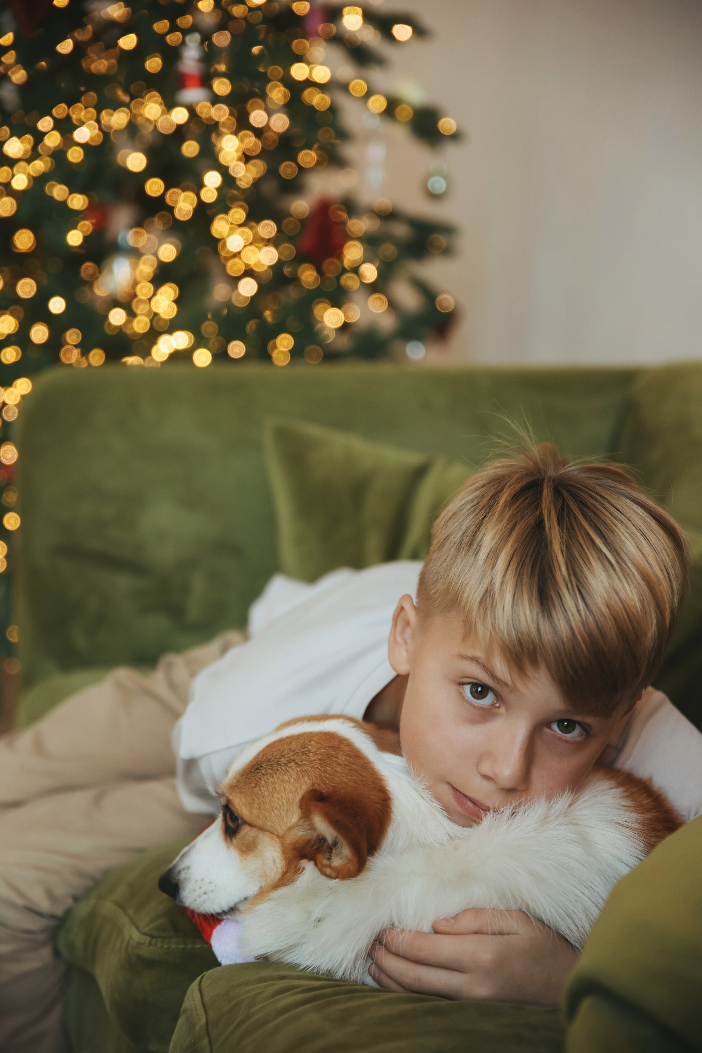 Новогодняя фотосессия во Владимире съемка на новый год фотосессия в студии фотограф во Владимире фотограф в Москве корги. Фотограф Владимир Москва