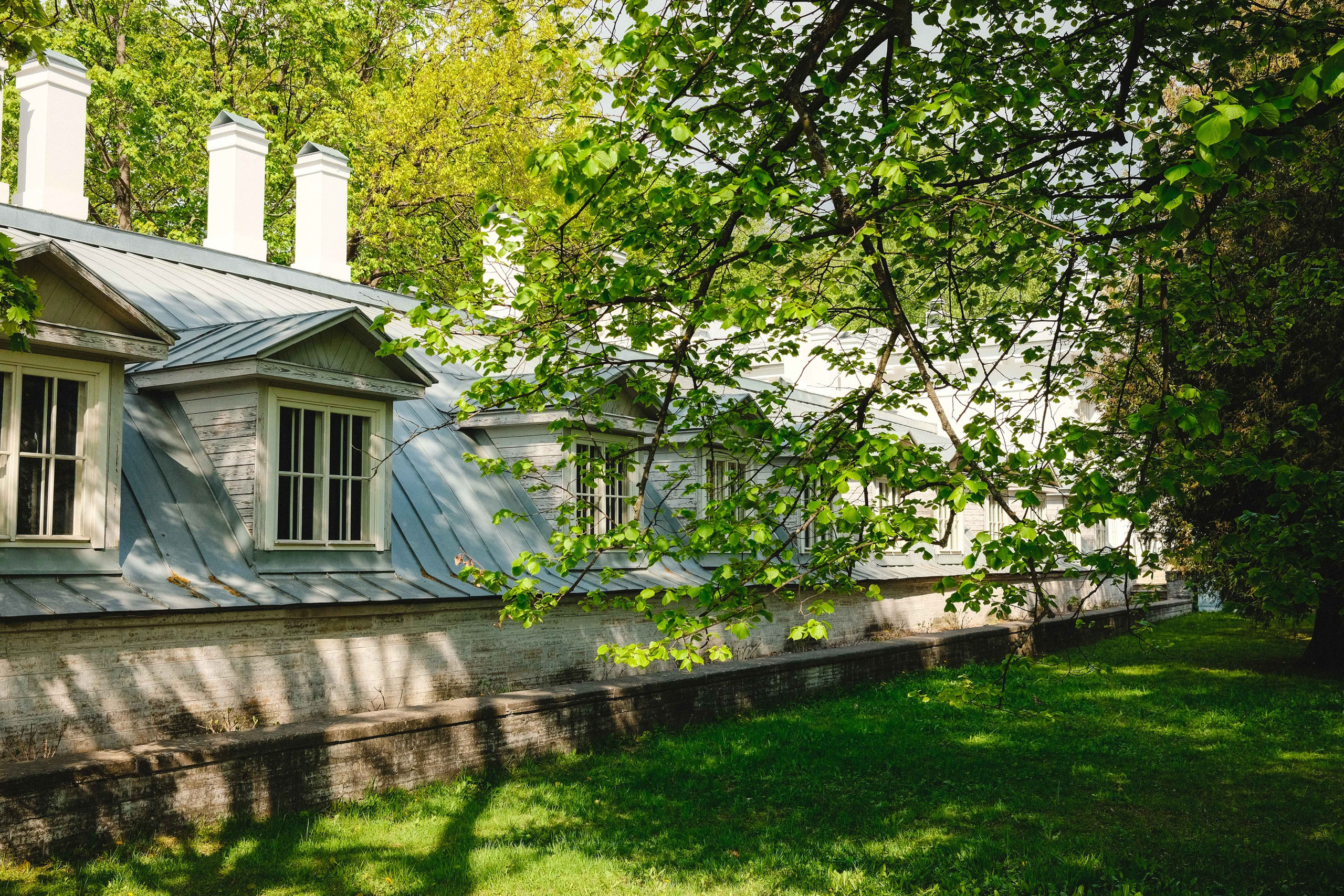 2023.05. Фотограф Алексей Алексеев