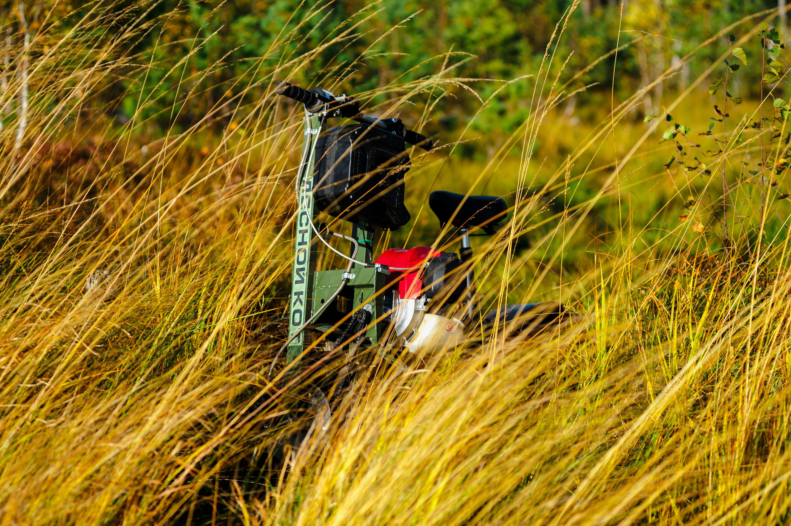 Кубок СПб по трофи-рейдам 04-06.10.2024 — день 1. Фотограф Алексей Алексеев