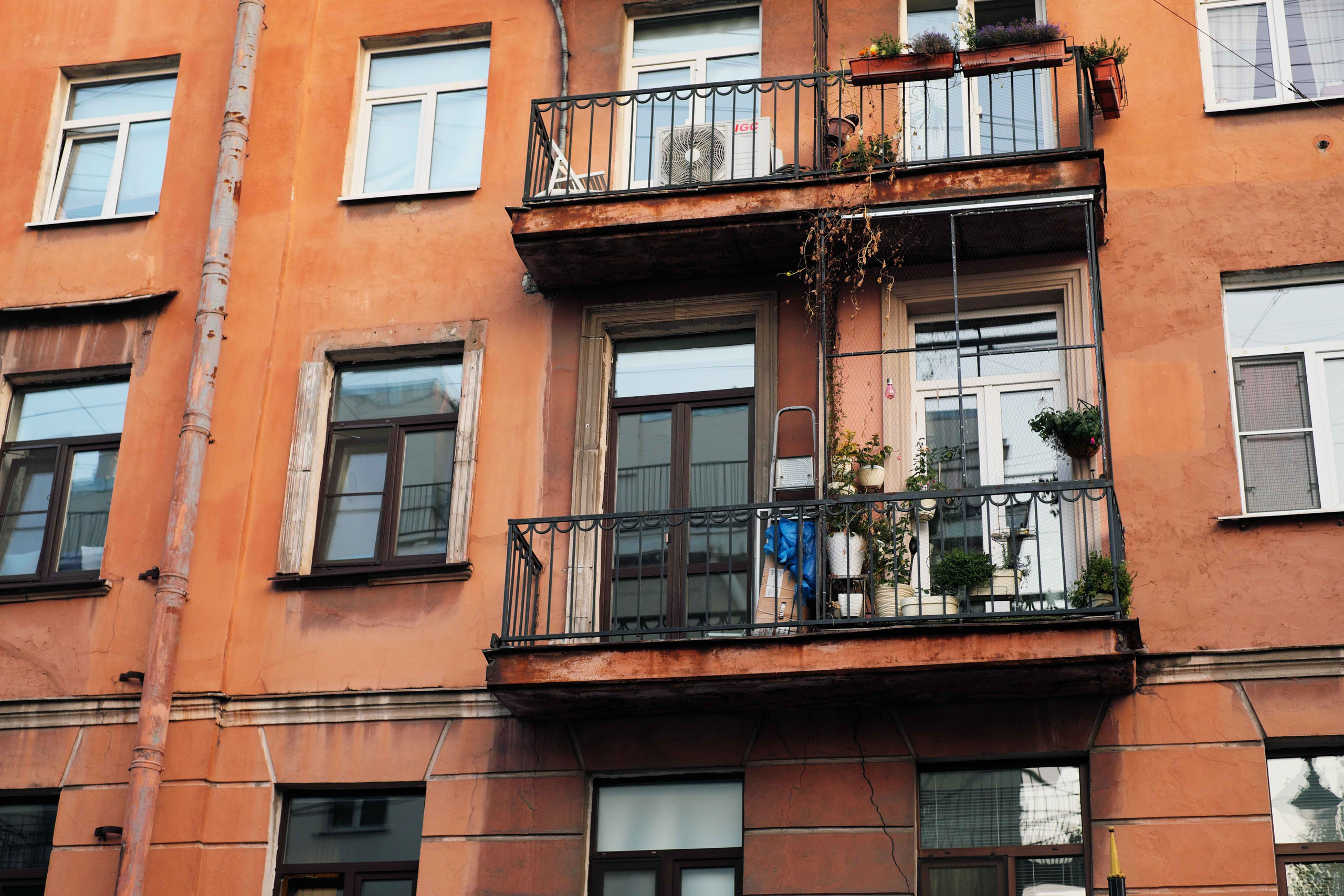 2021.10. Фотограф Алексей Алексеев