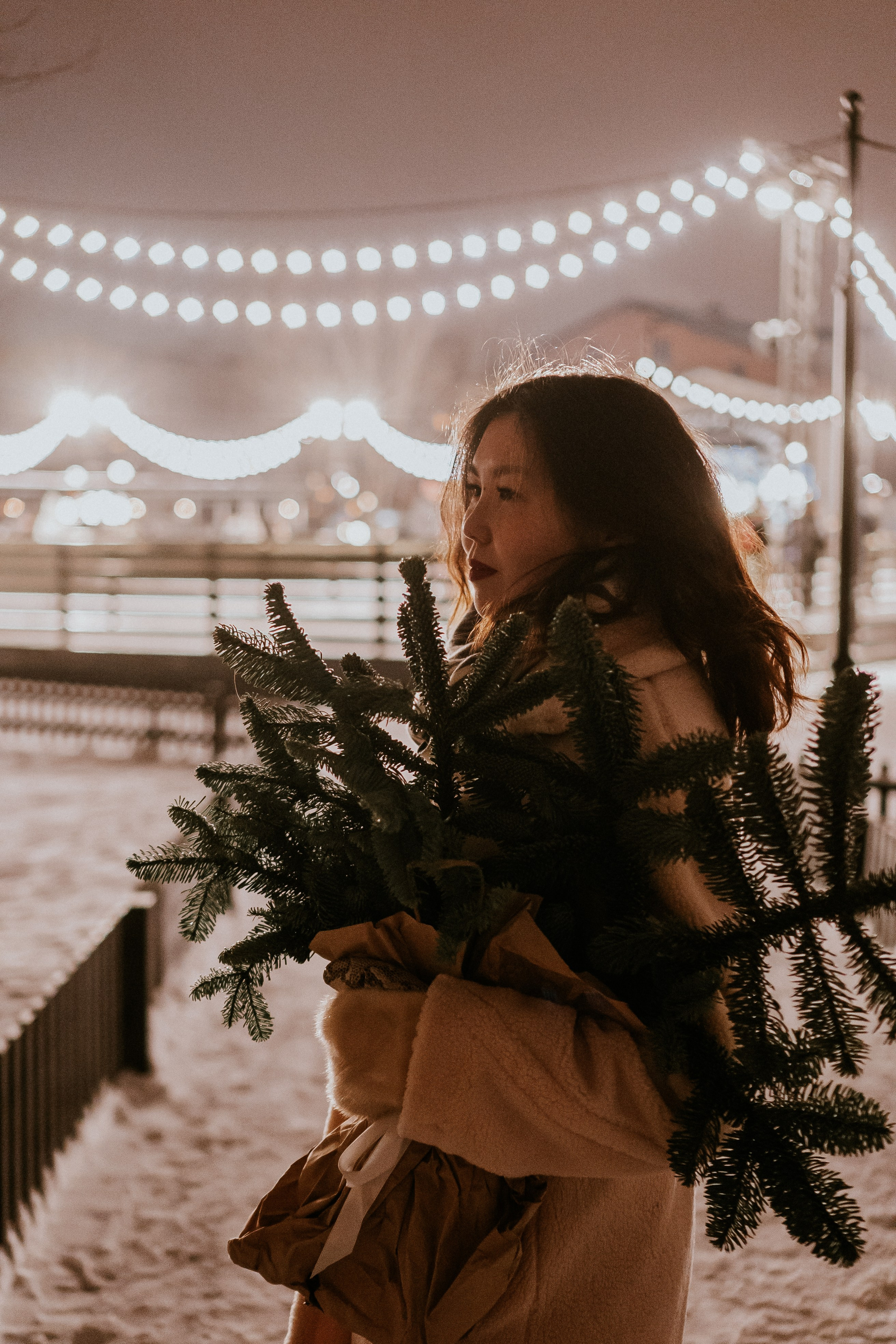 Зимняя сказка в Новой Голандии. Профессиональный фотограф, Санкт-Петербург — Виктория Богомолова