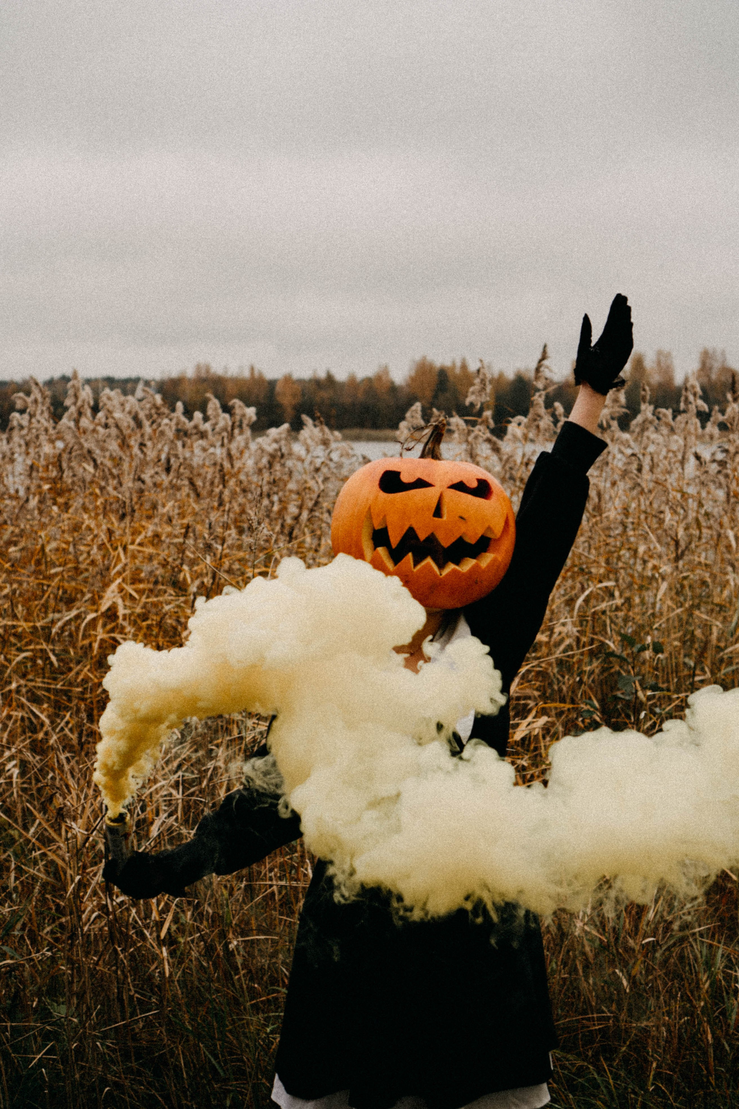 Осеняя. Профессиональный фотограф, Санкт-Петербург — Виктория Богомолова