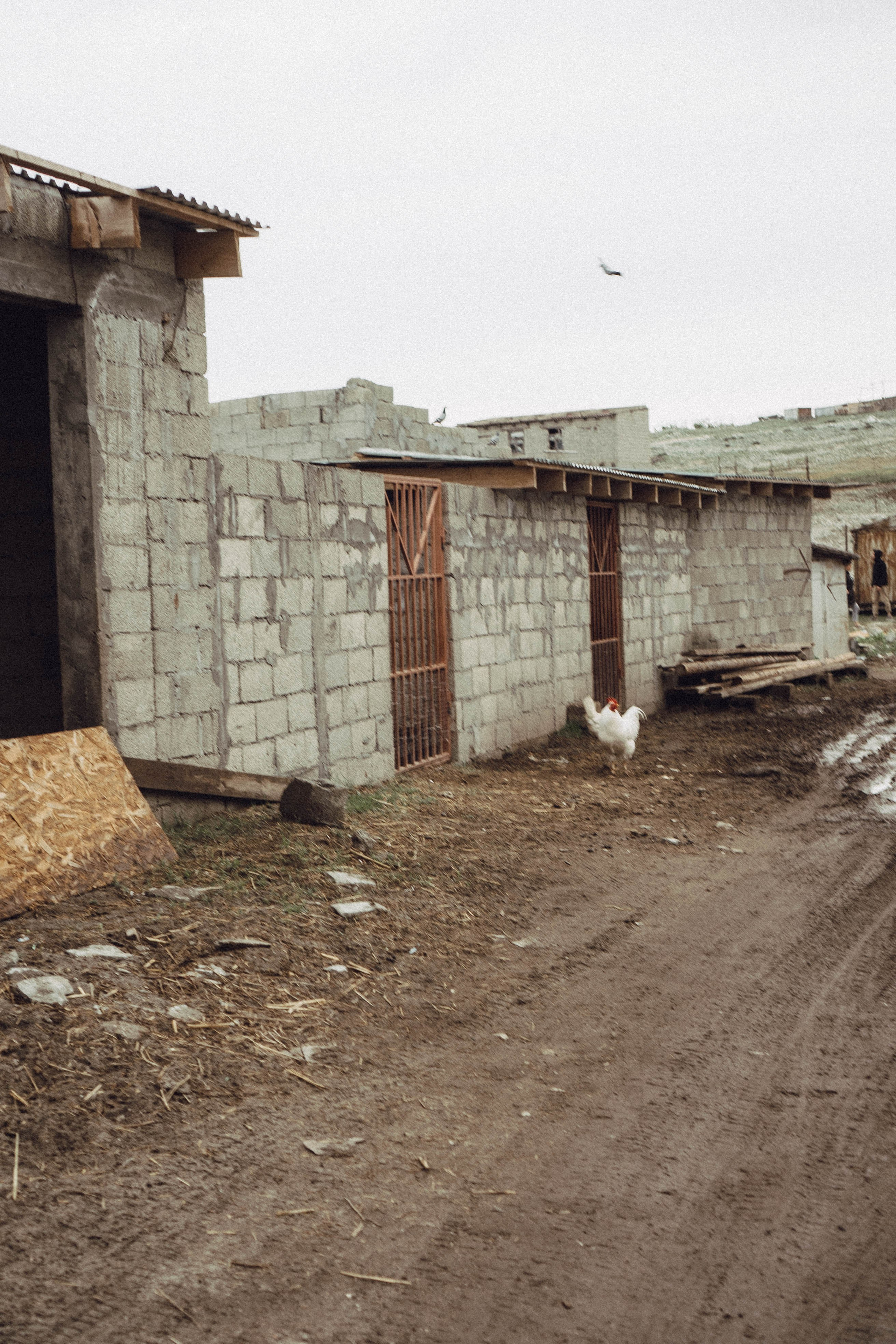 Кавказ. Профессиональный фотограф, Санкт-Петербург — Виктория Богомолова