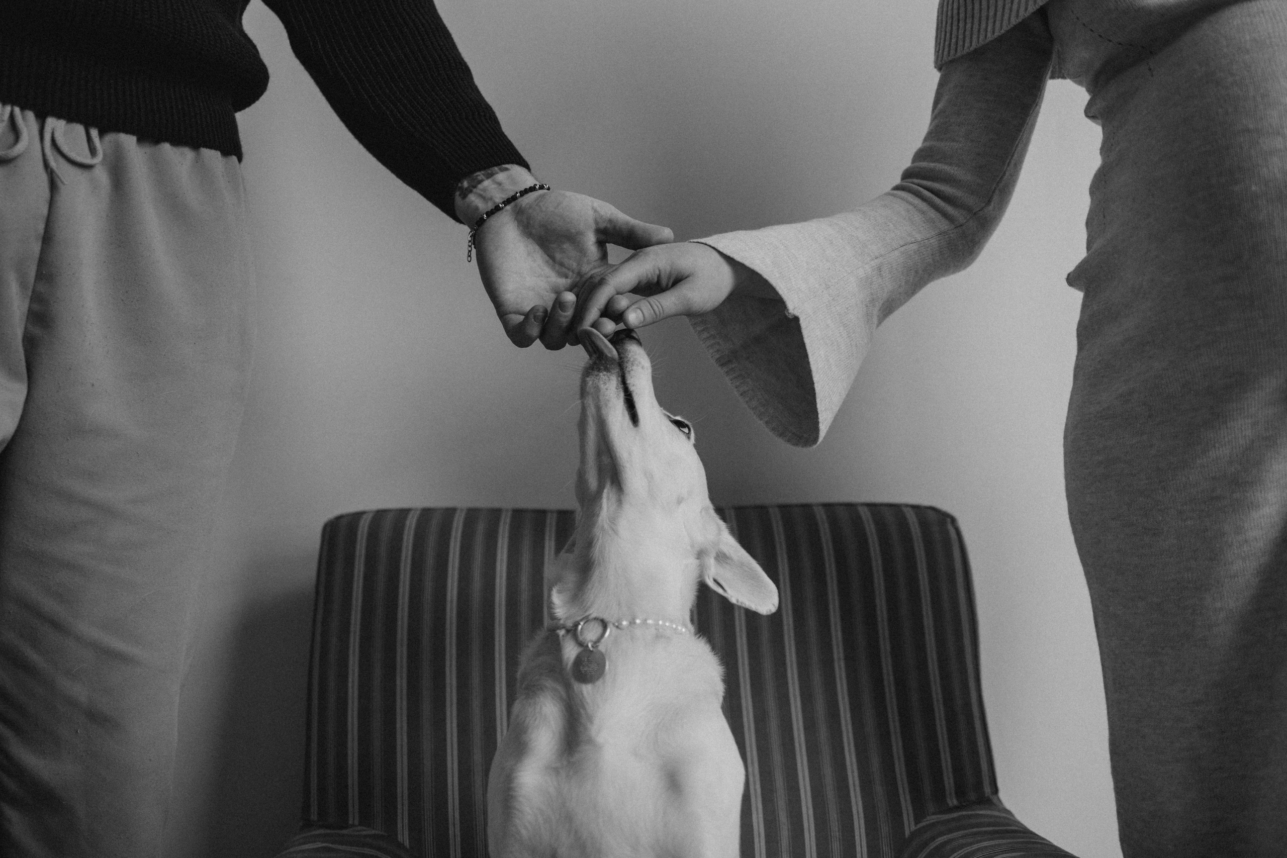 Луна и ее семья. Фотограф — Анималист | Санкт-Петербург