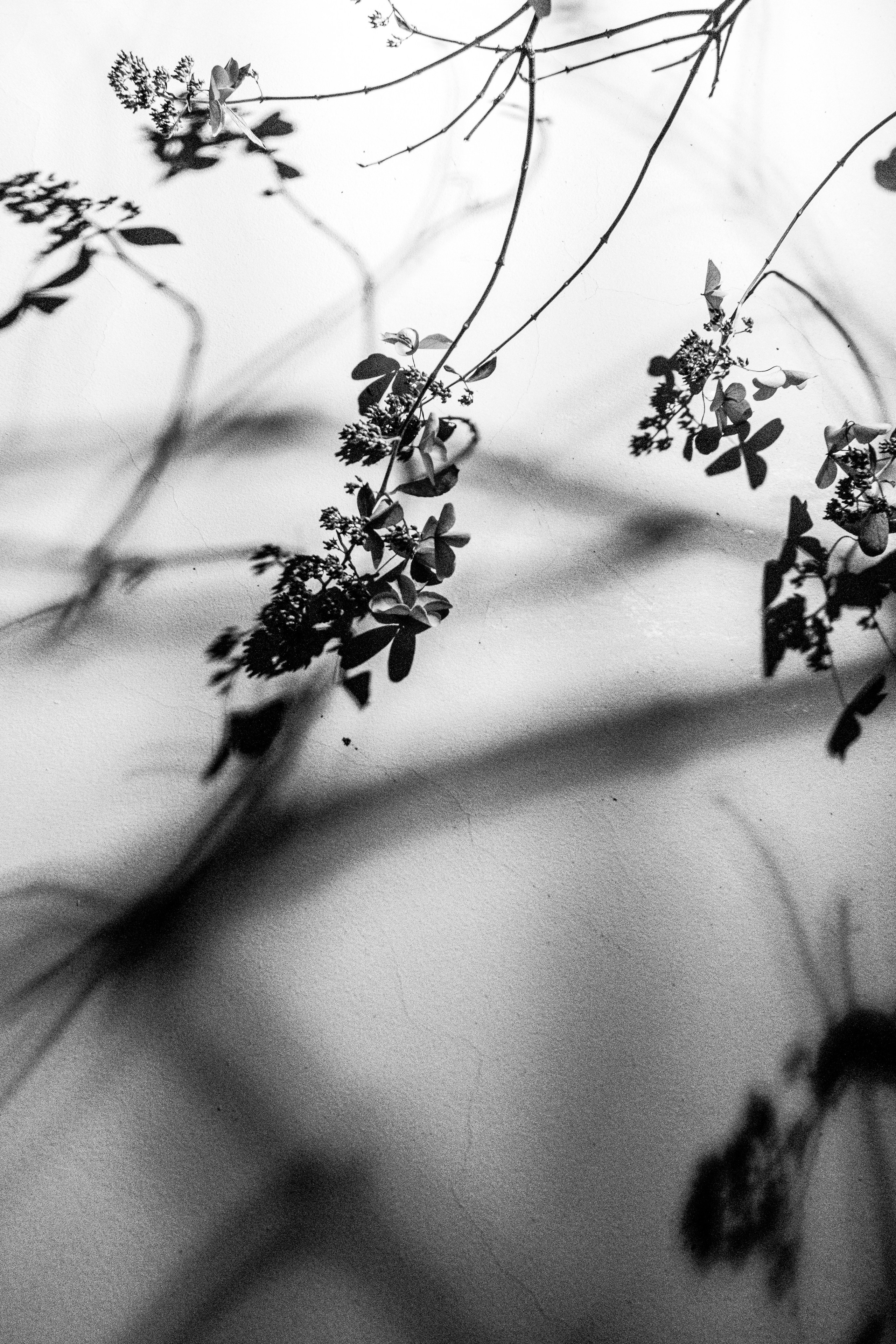 Тени города. Портретный и архитектурный фотограф в Москве и Санкт-Петербурге