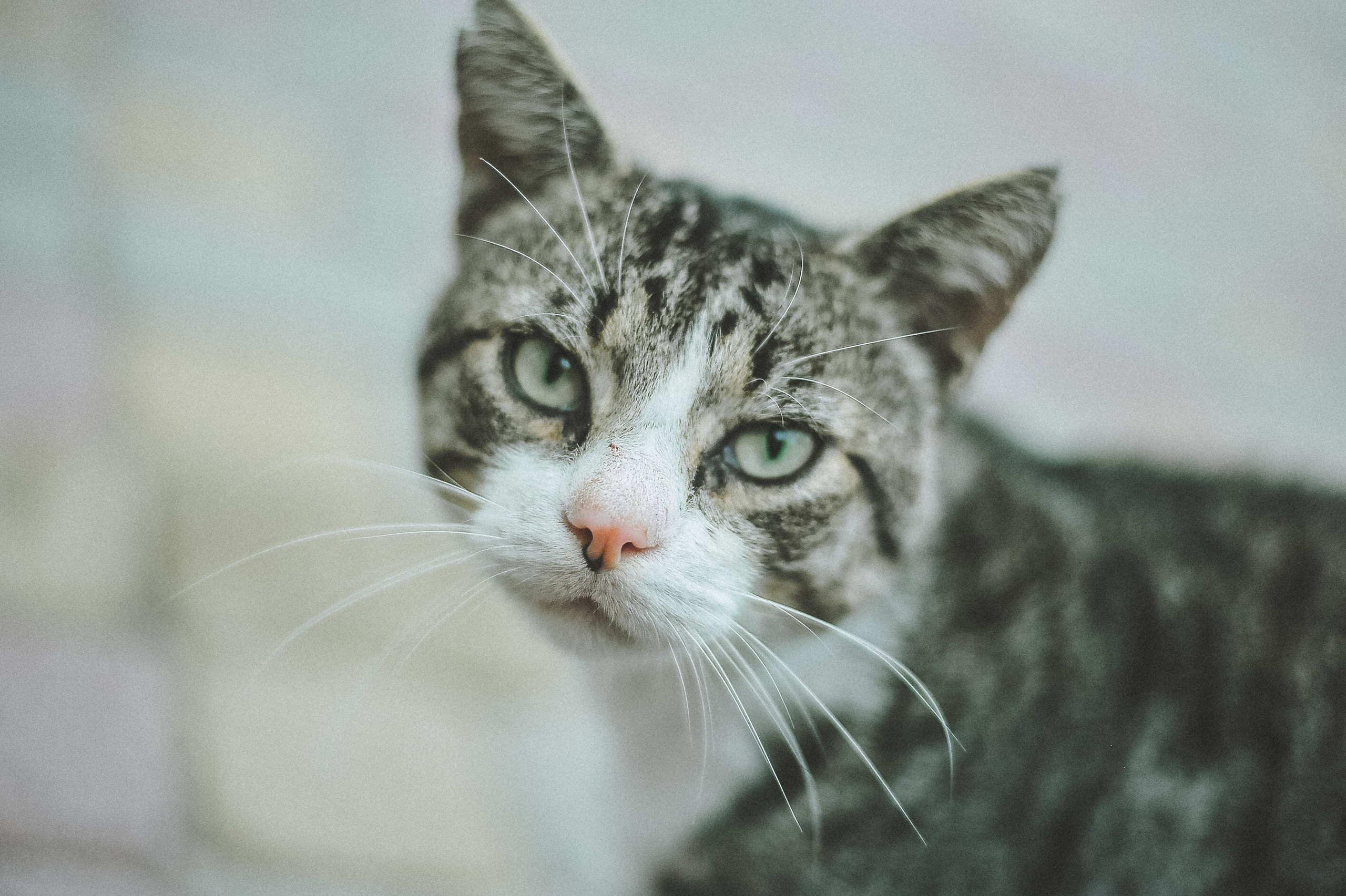 Прогулка. Элька Мурзина