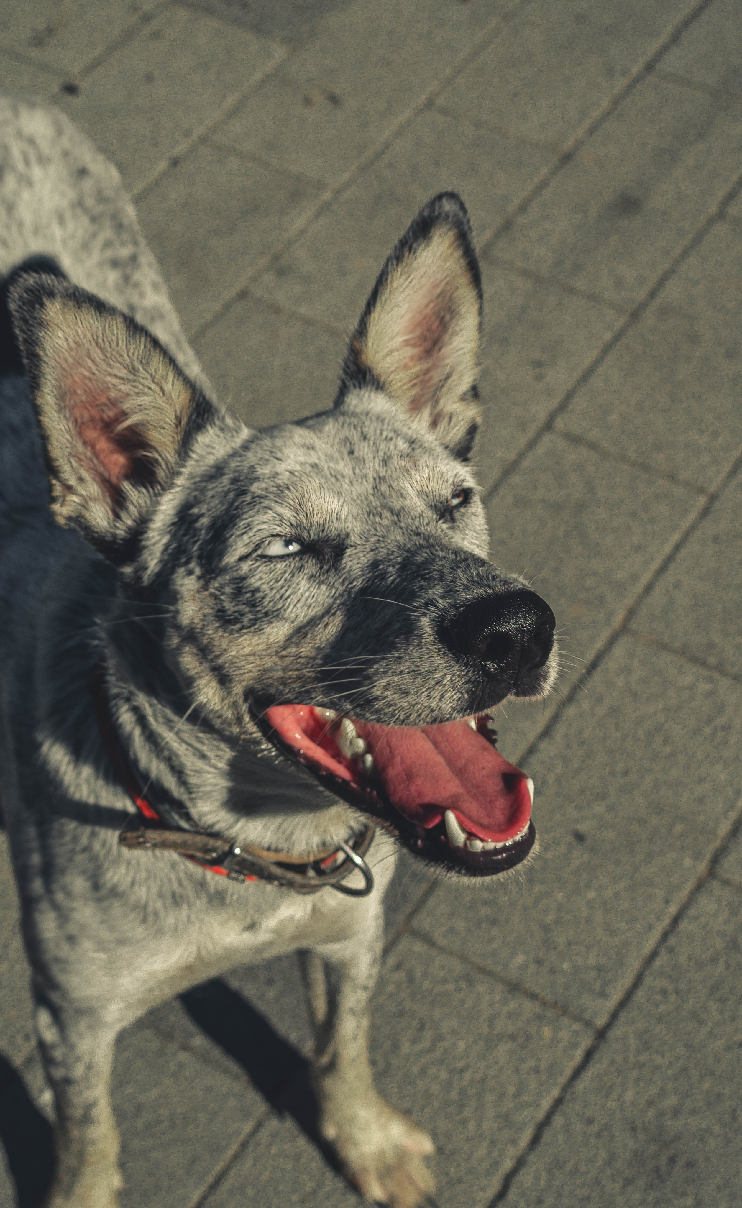 Цунами. Профессиональный фотограф