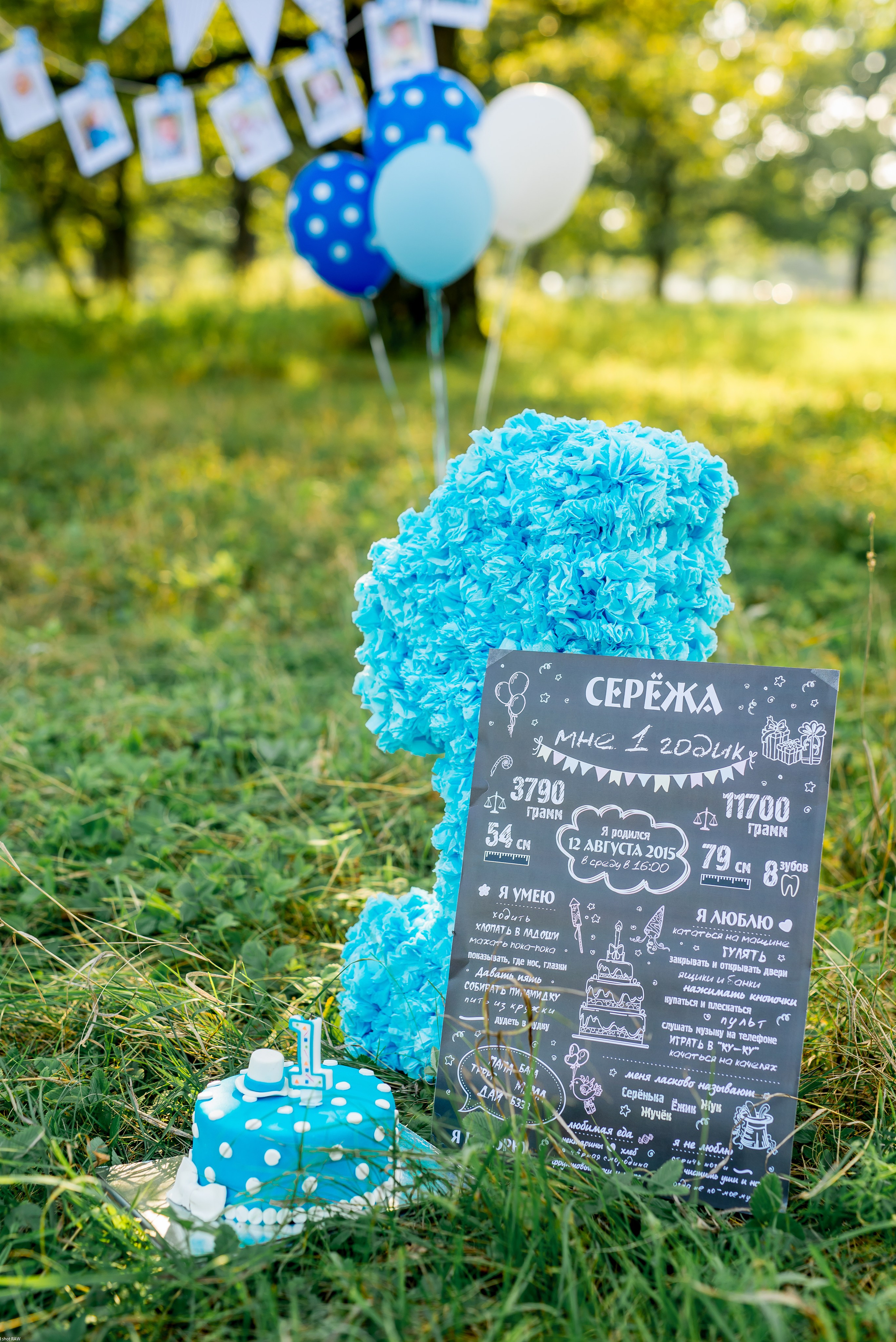 Вова, Маша и маленький Серёжа. Свадебный фотограф в Рязани Вагнер Владимир