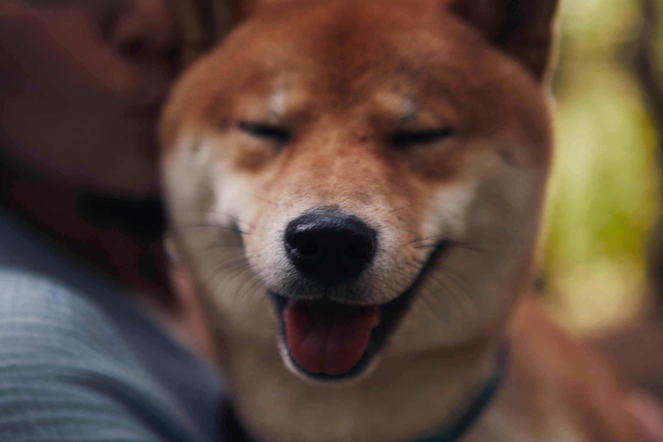 Katya & Rokki. Portrait, family and pet photographer in Cyprus, Ksenia Bourdelle