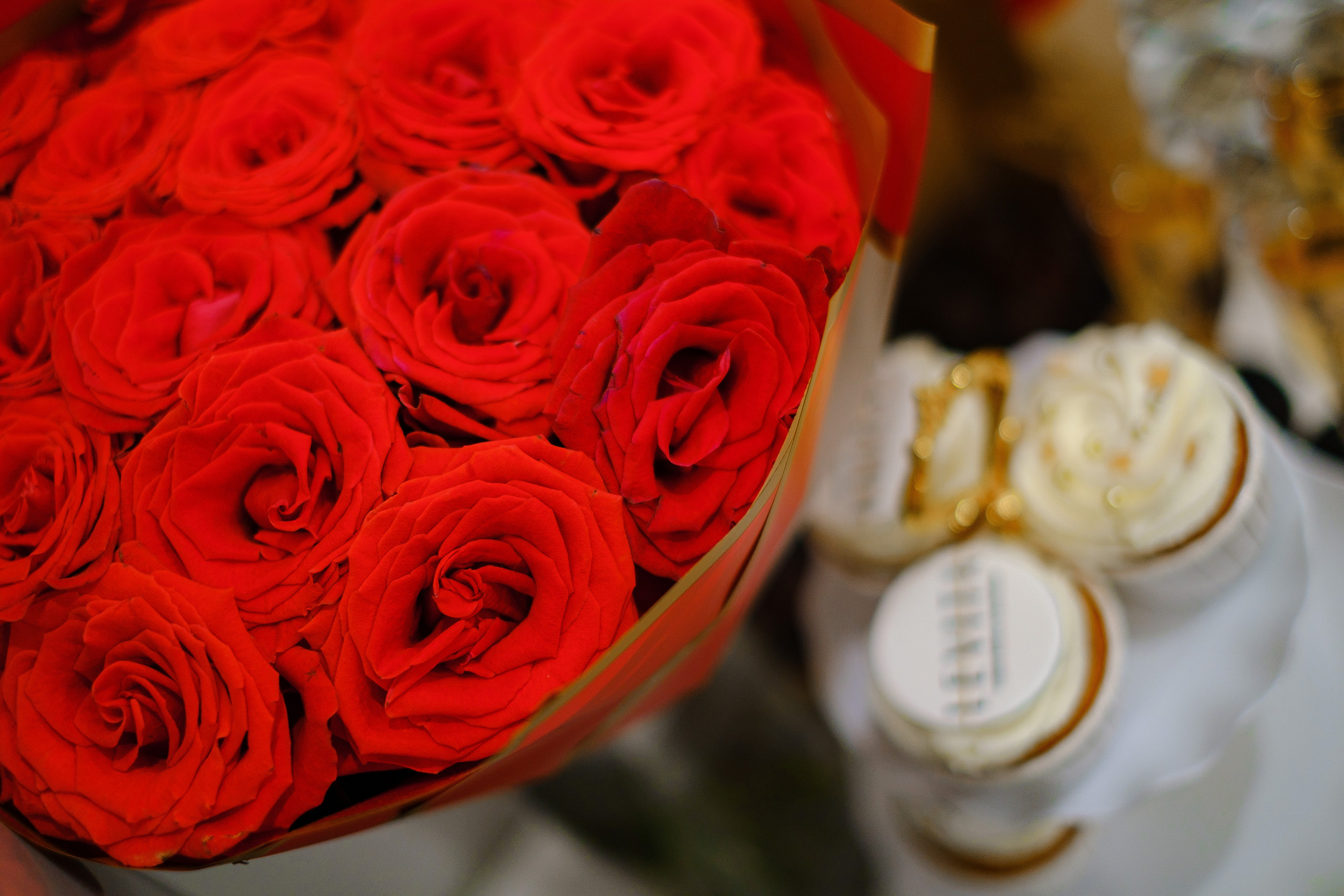 «LEVITA» Петергоф. Фотограф Мария Хлебникова Санкт-Петербург Москва