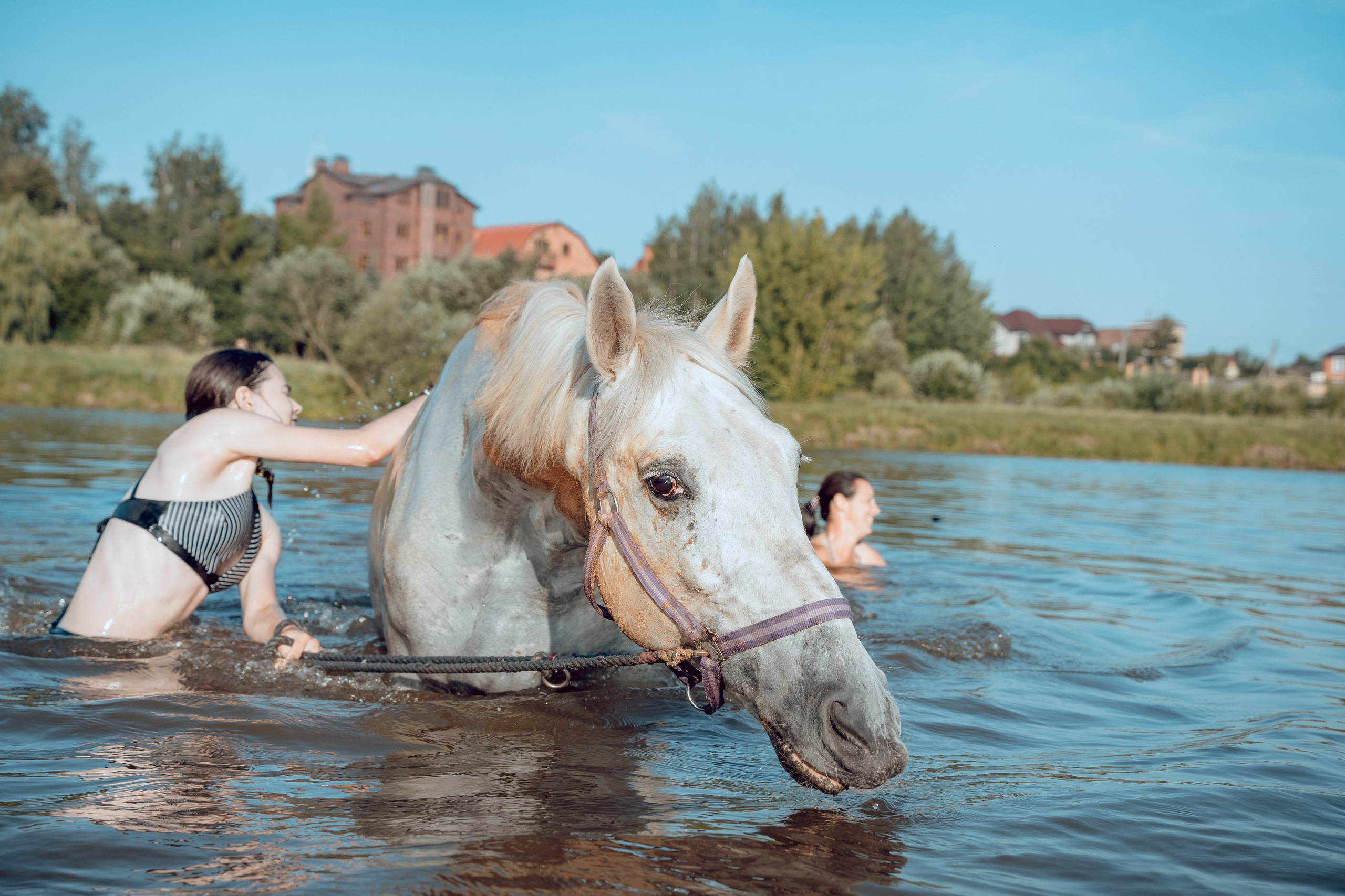 Купание лошадей 05.07.2024. Портретный и семейный фотограф в Москве/Видное