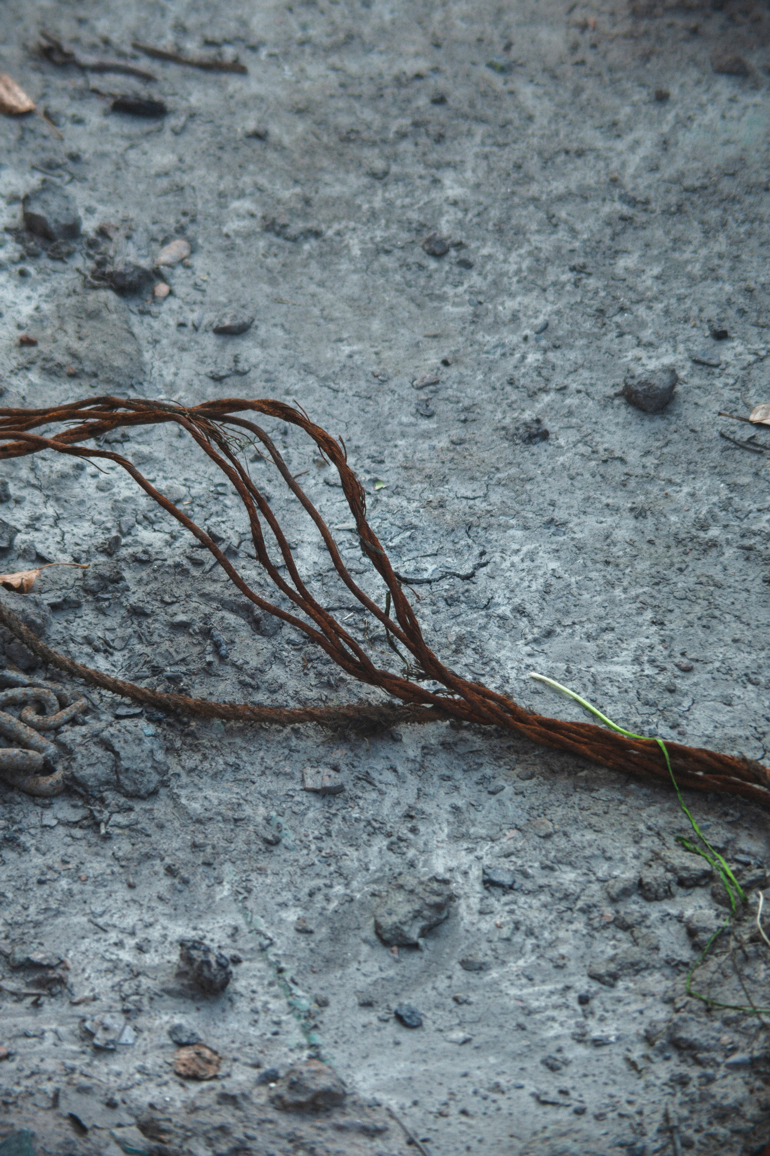 Баржа. Фотограф Адигамова Юлия в Петербурге