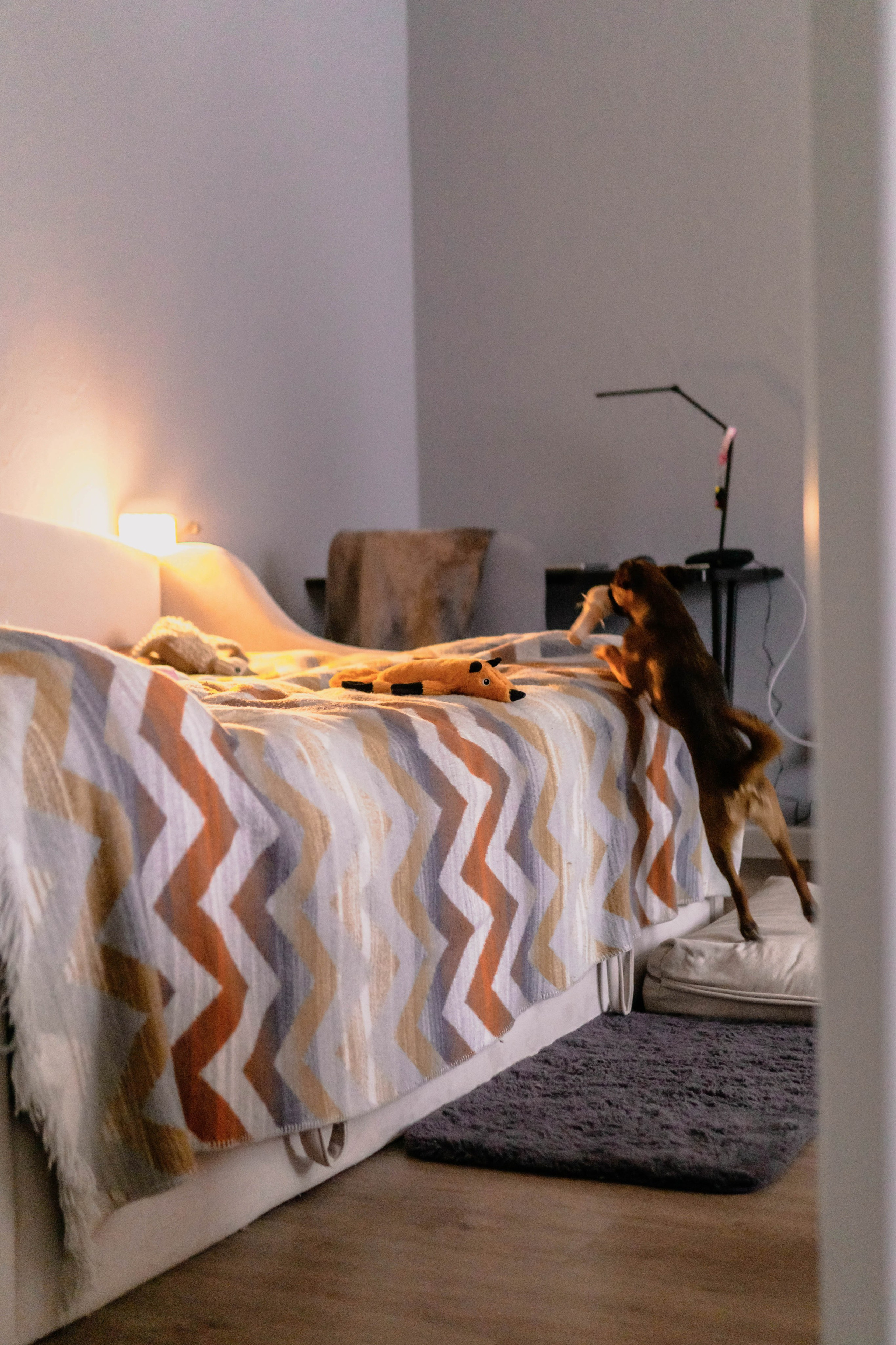 Надя и Ефим. Фотограф-анималист Ксения Воробьева, Москва