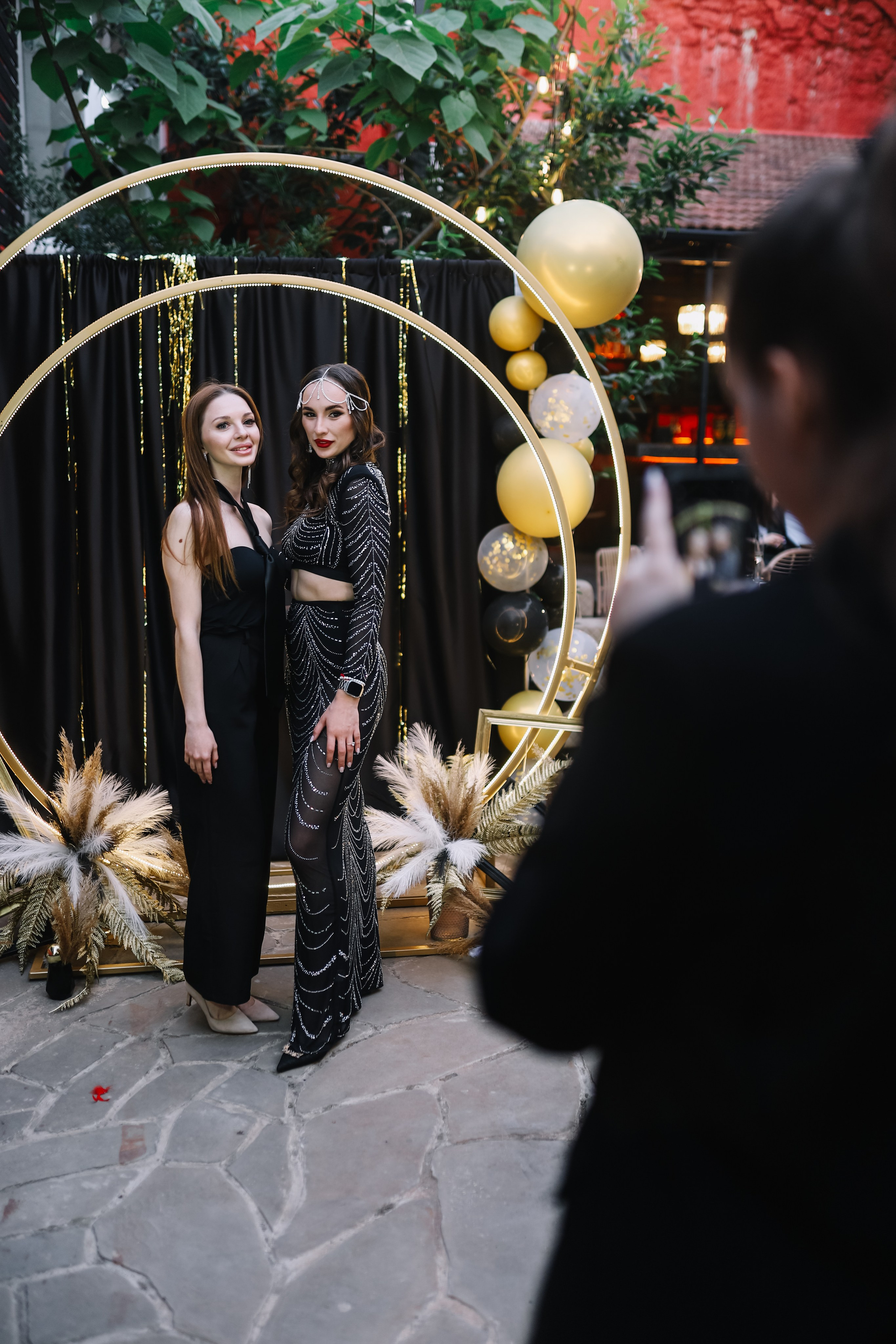 25.Диана и гости