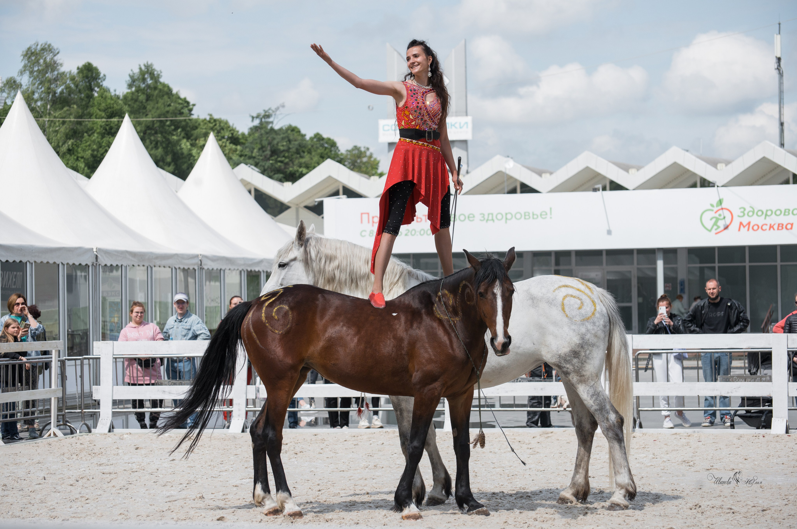 Эквирос, Москва. Конный фотограф в Саратове Юлия Иванова