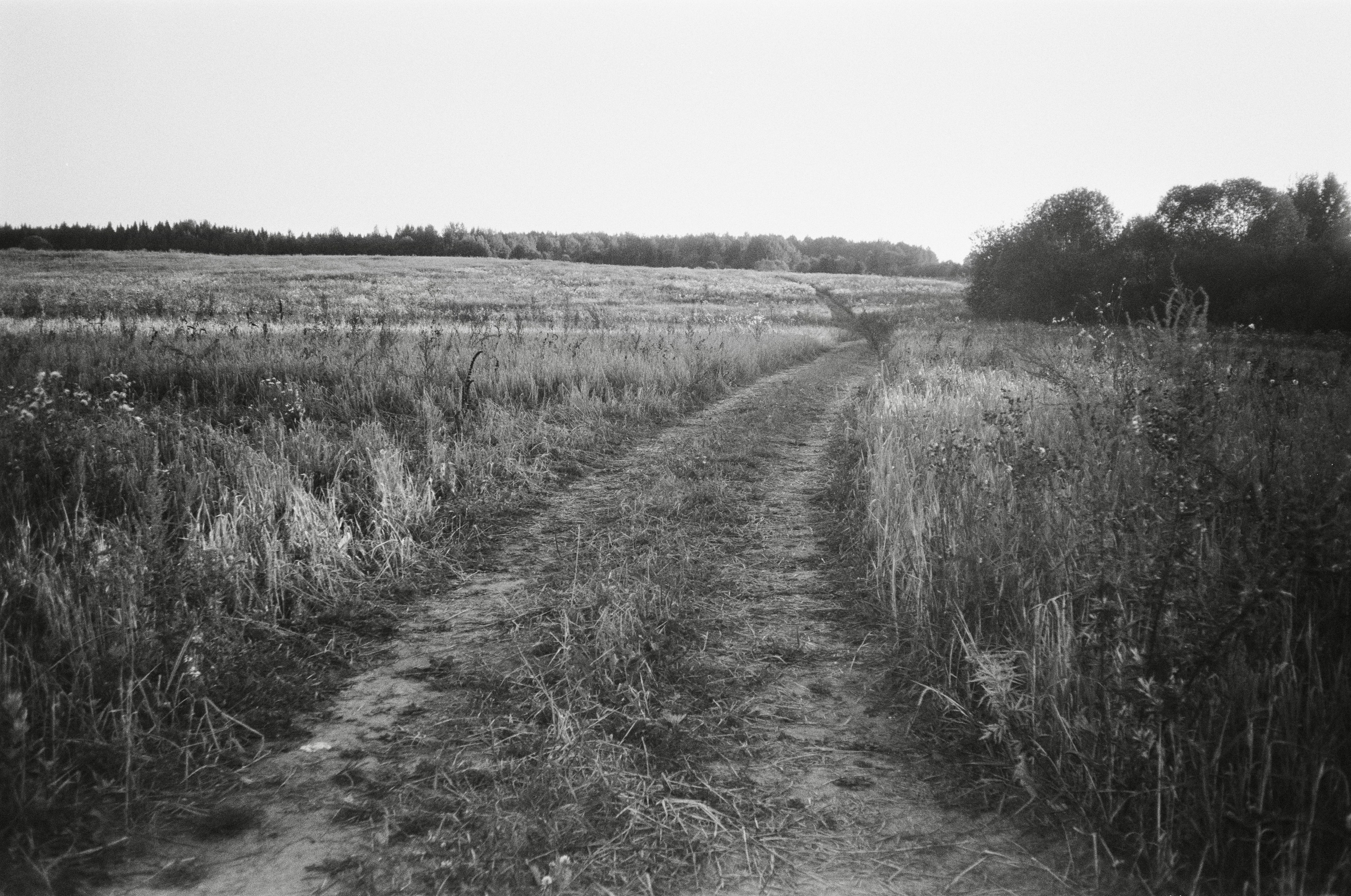 Чб пленка. Событийный фотограф в Москве Юлия Папиянц