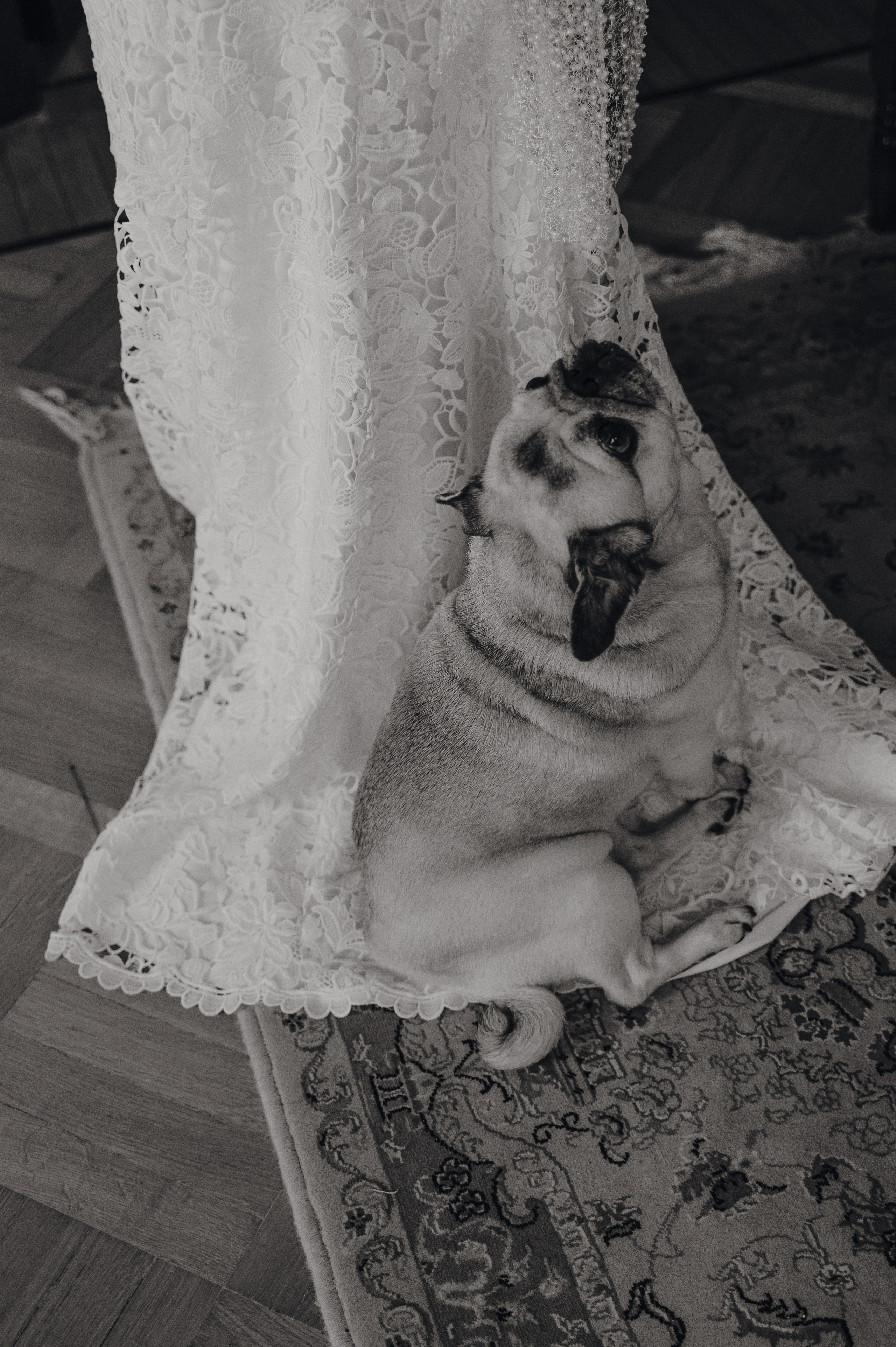 Денис и Анастасия. Метрополь и Особняк Спиридонова. Свадебный фотограф Москва и Санкт-Петербург. Анастасия Чудина