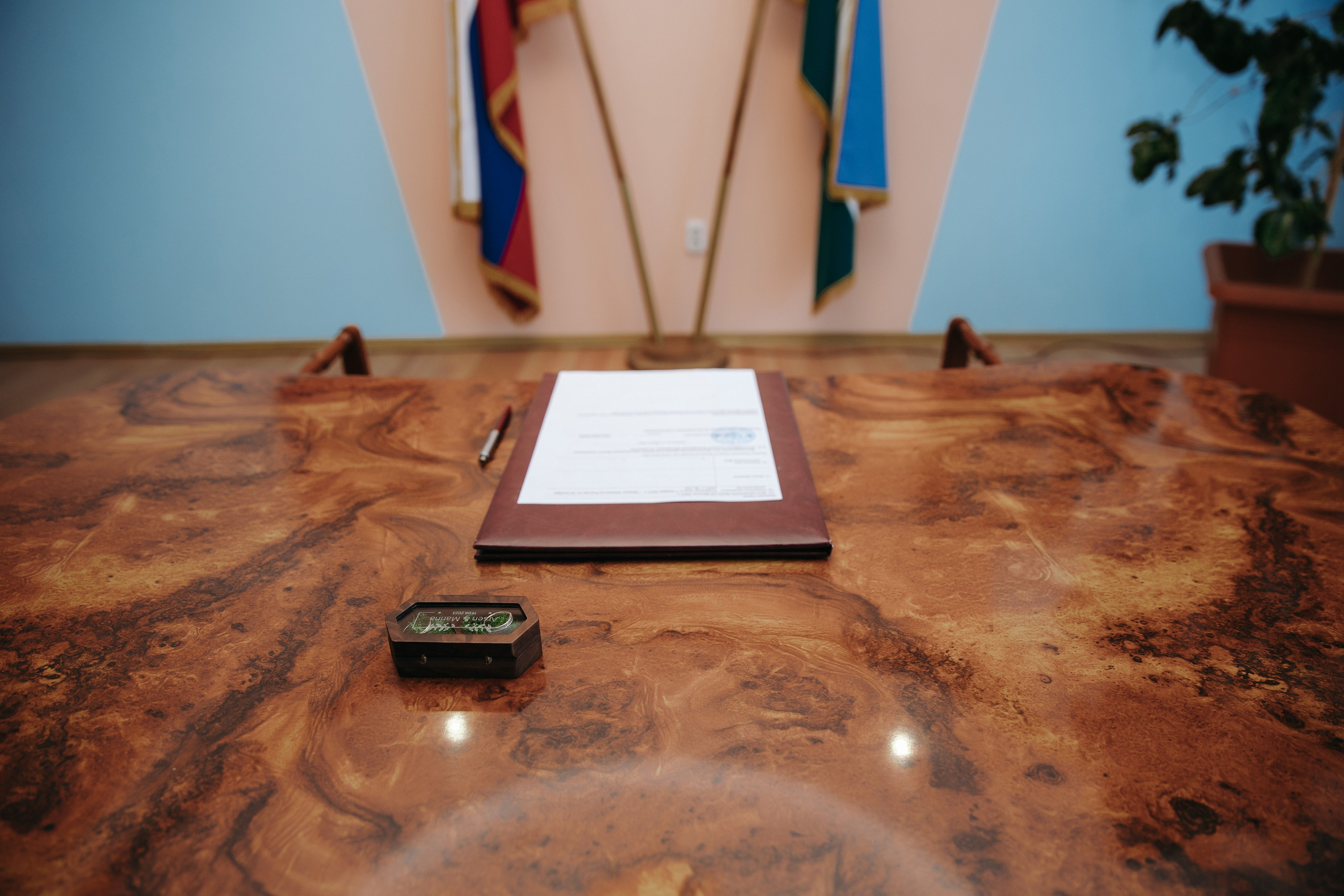 Арсений и Марина. Свадебный и семейный фотограф в Уфе Руслан Миргаляов