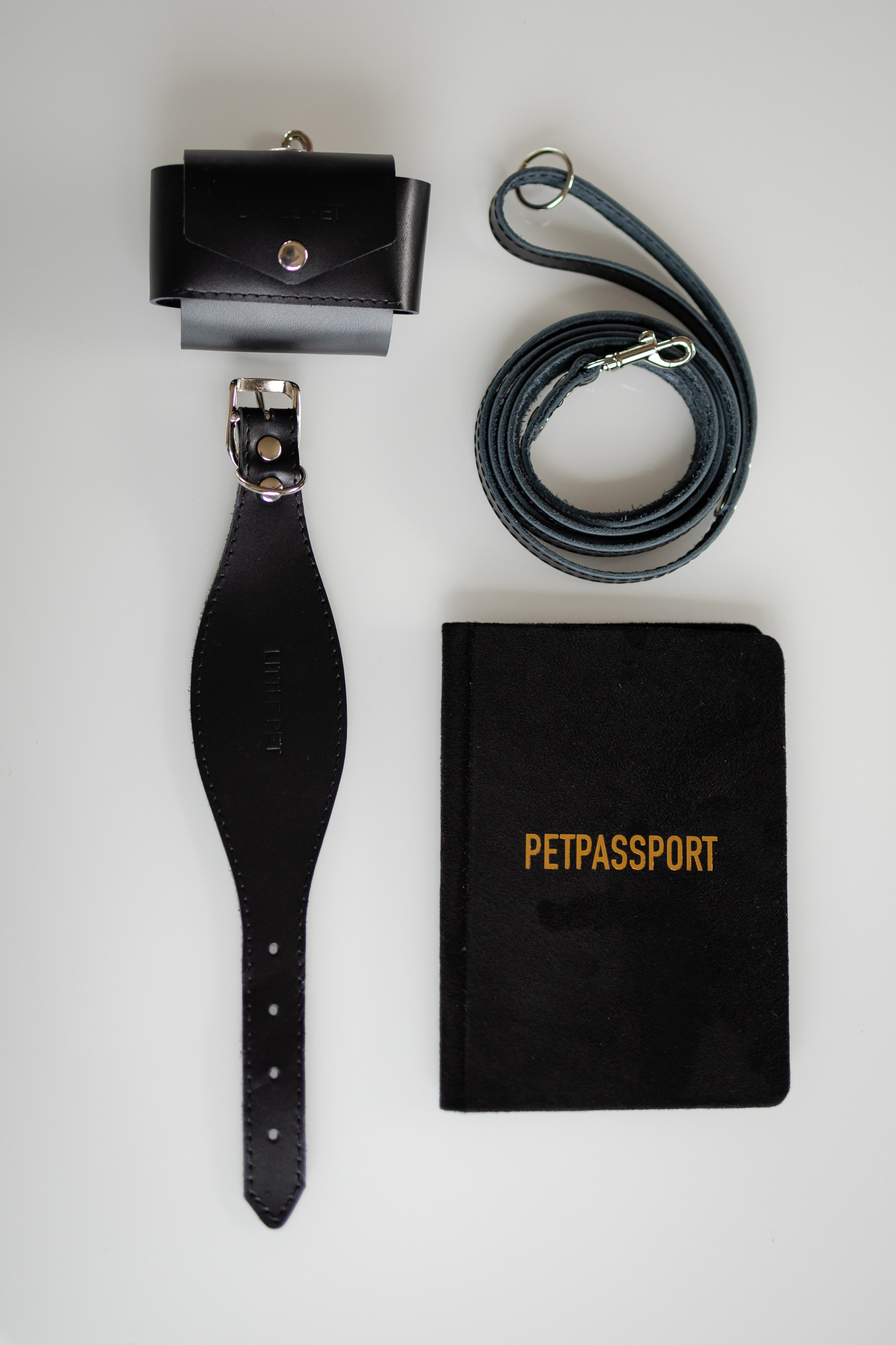 Прогулки. Профессиональный питомник левреток РКФ/FCI ASTI SAPPHIRE 💎 Сочи|Санкт-Петербург