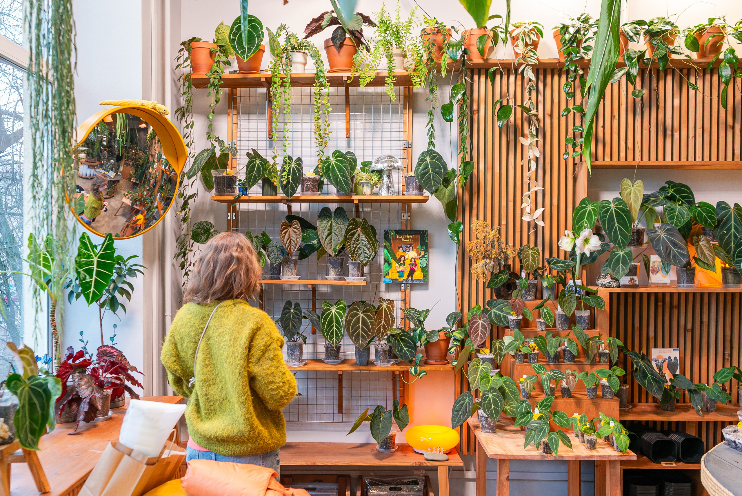 Make more plants. Александра Куликова фотограф, Москва
