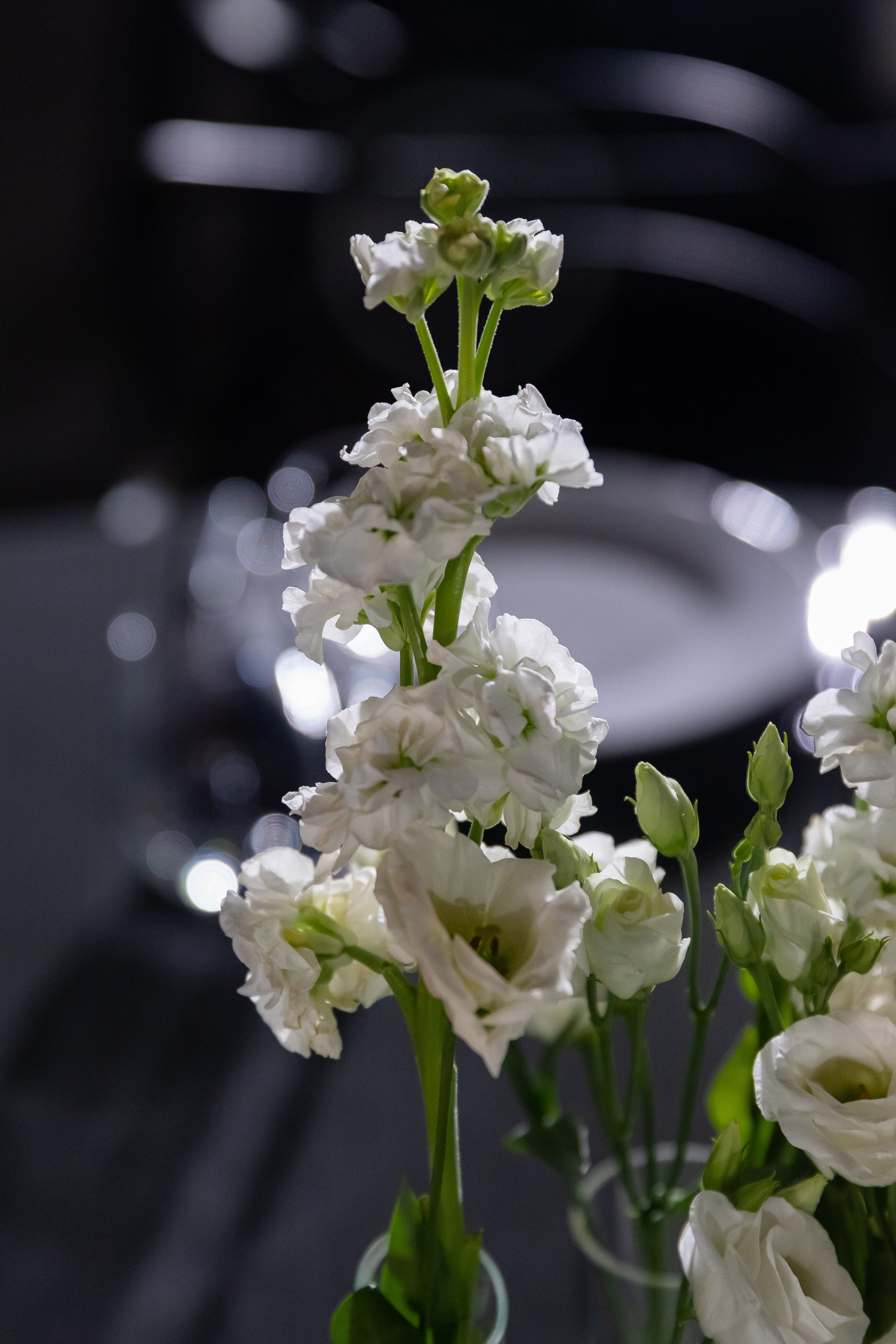 Екатерина и Константин