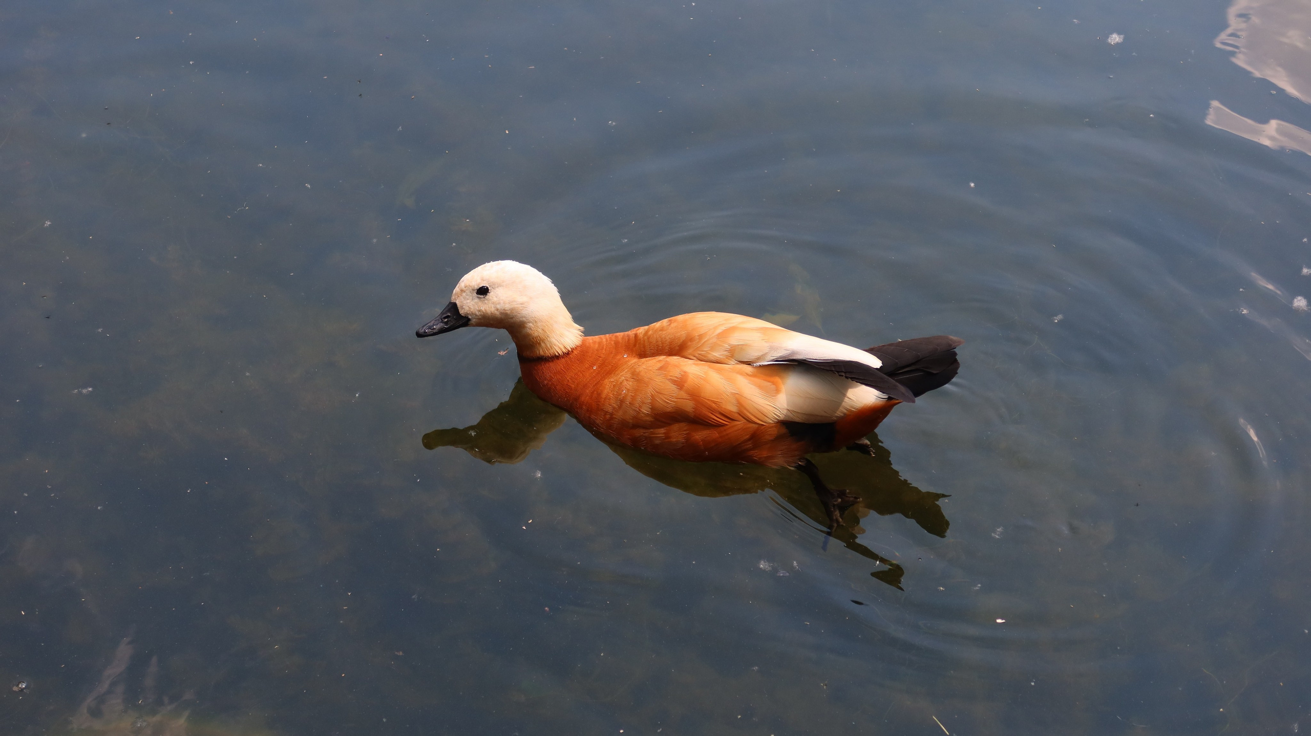 Антроповский сквер. Улица, люди, жизнь…